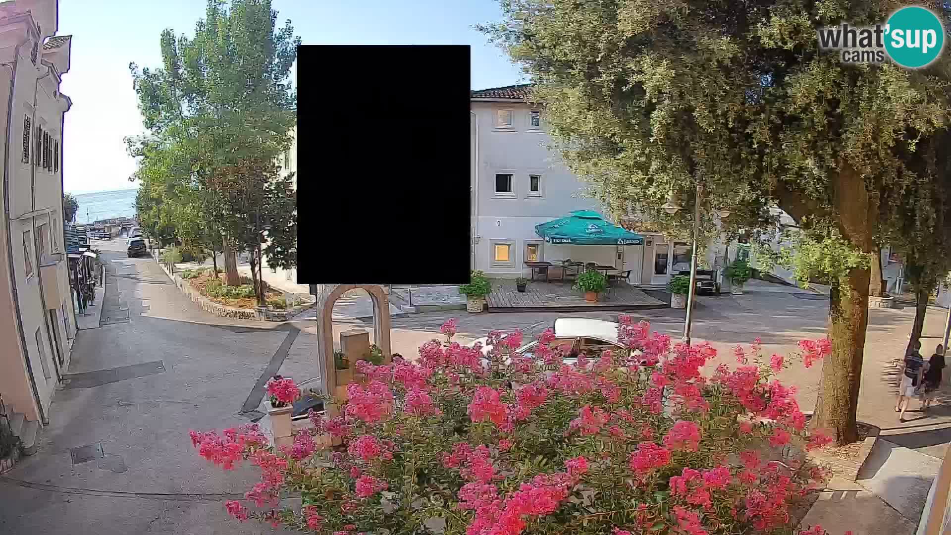 Webcam Centro Draga di Moschiena – Vista live sul centro