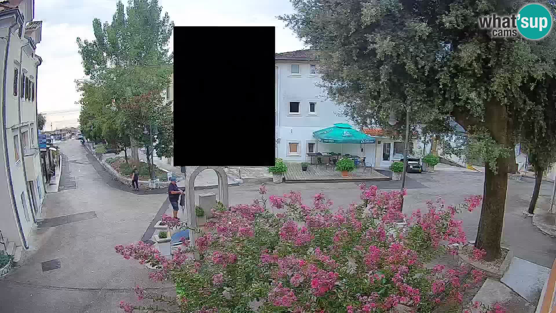 Webcam Centro Draga di Moschiena – Vista live sul centro