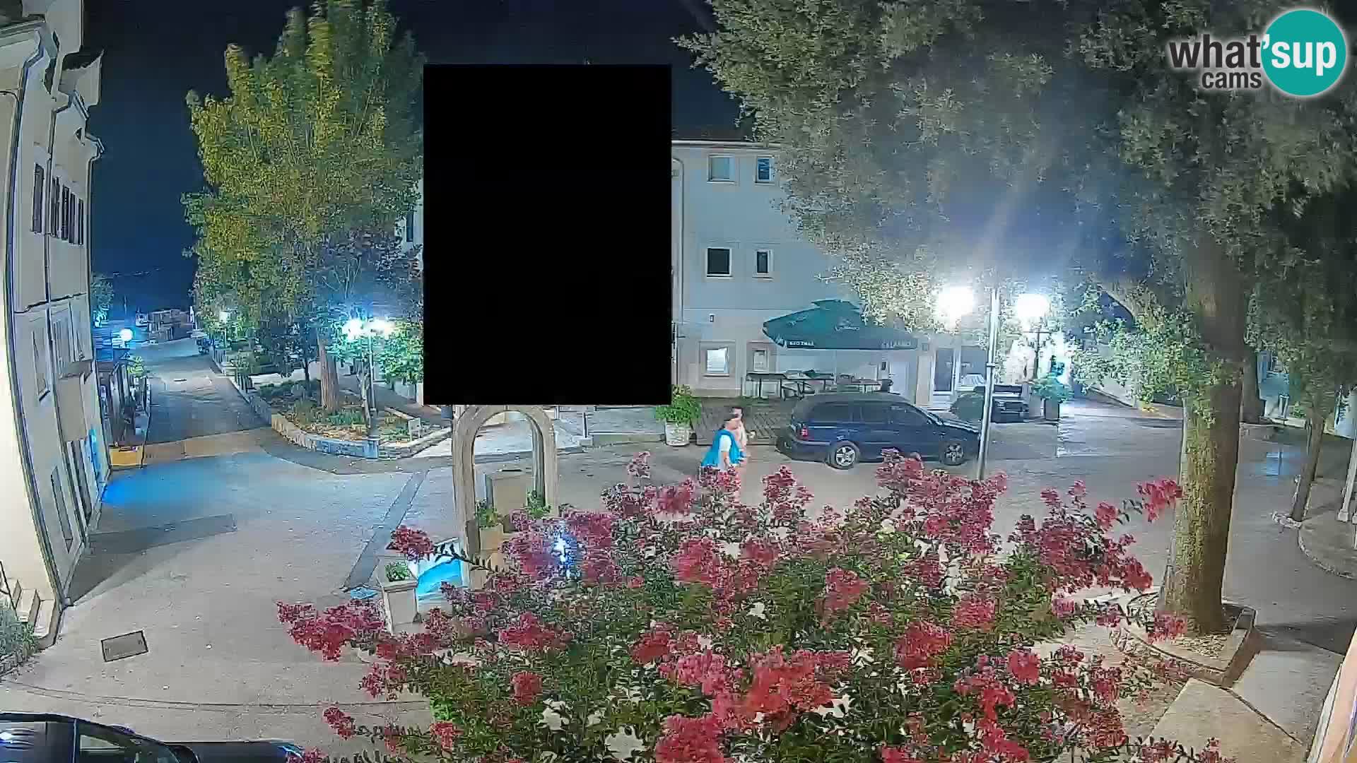 Webcam Centro Draga di Moschiena – Vista live sul centro