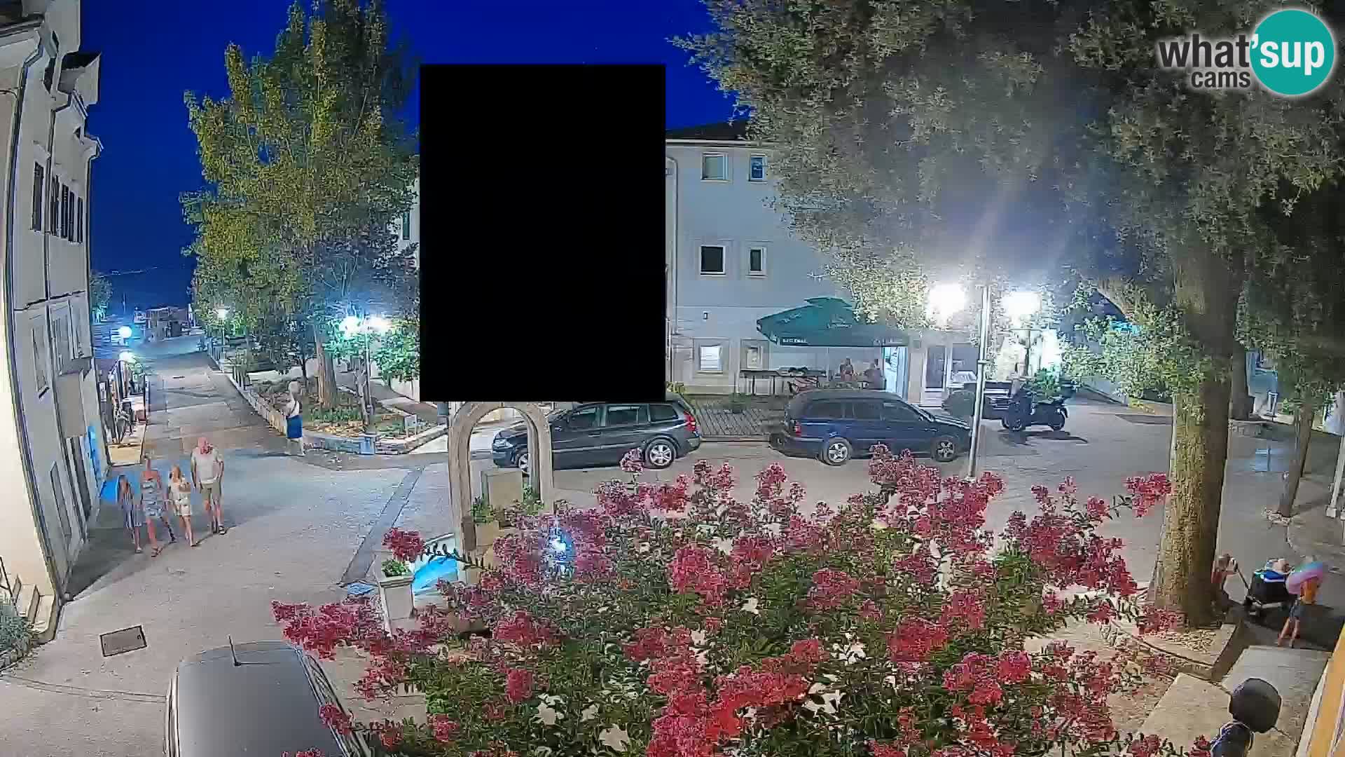 Webcam Centro Draga di Moschiena – Vista live sul centro