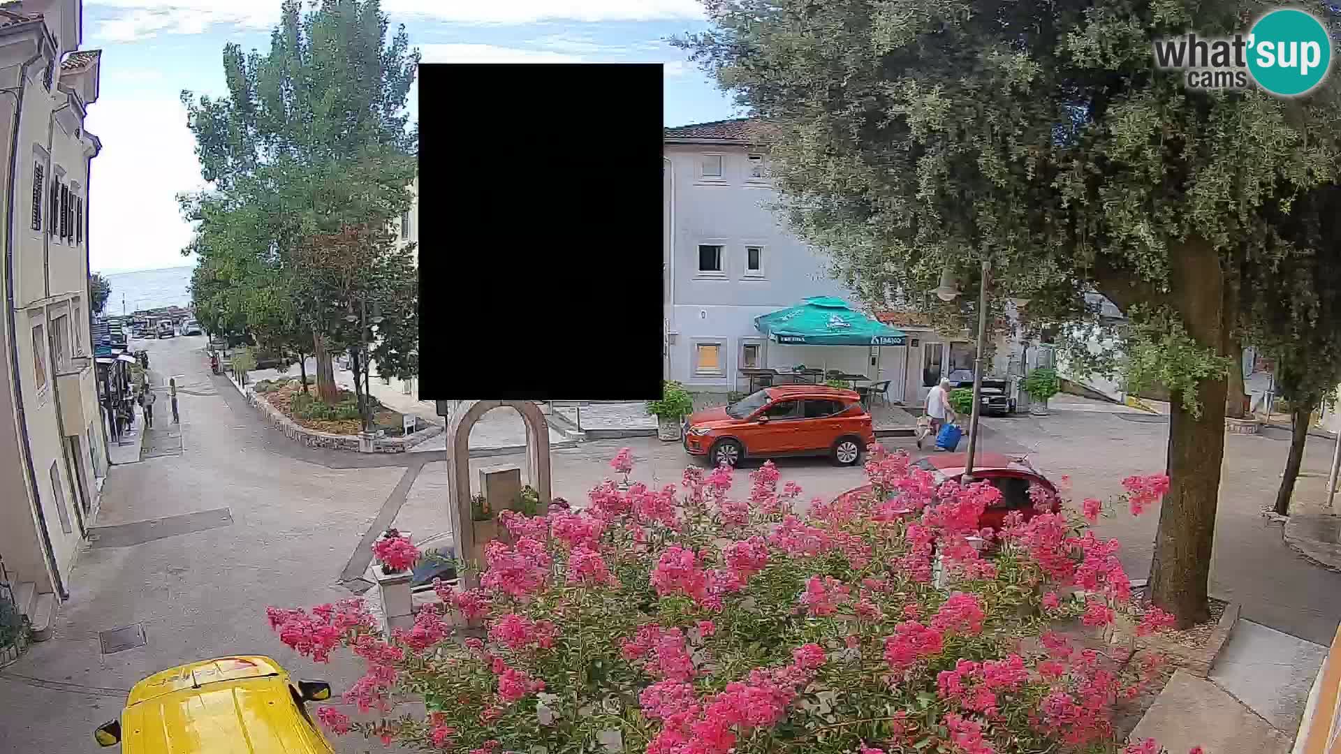 Webcam Centro Draga di Moschiena – Vista live sul centro