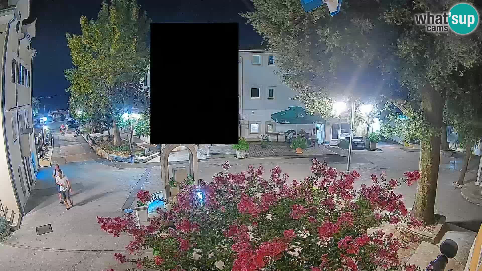 Webcam Centro Draga di Moschiena – Vista live sul centro