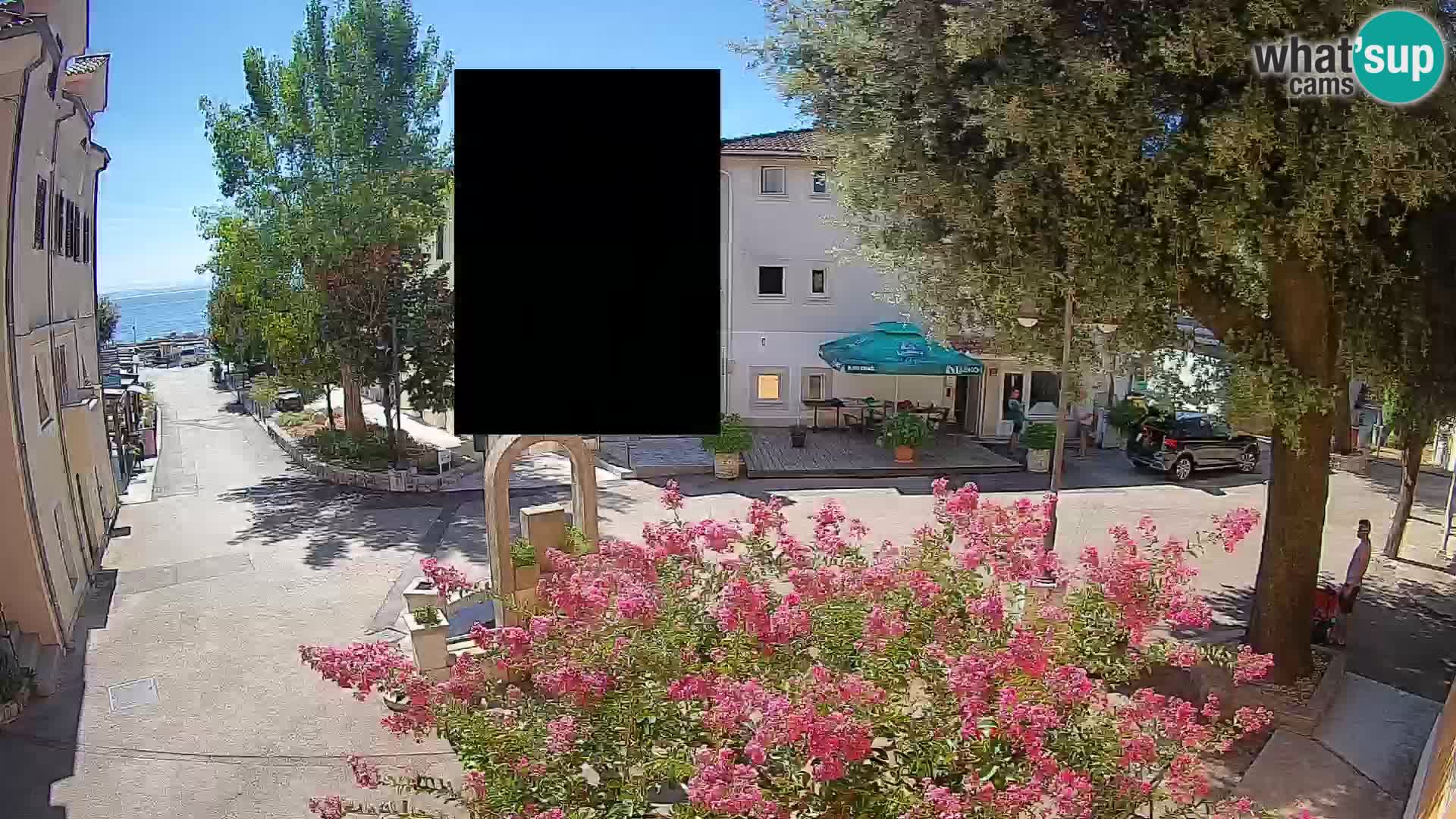 Webcam Centro Draga di Moschiena – Vista live sul centro