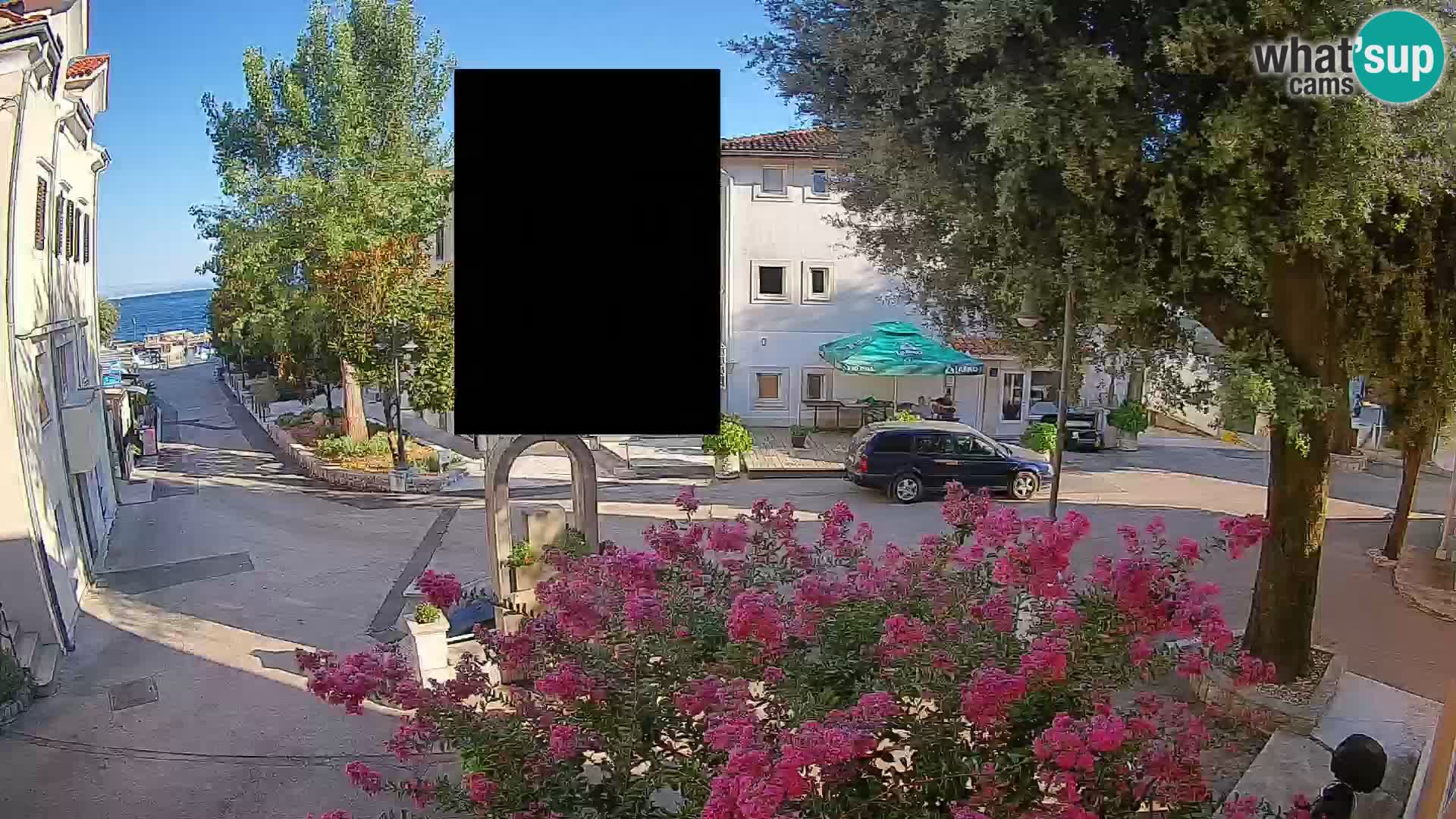 Webcam Centro Draga di Moschiena – Vista live sul centro