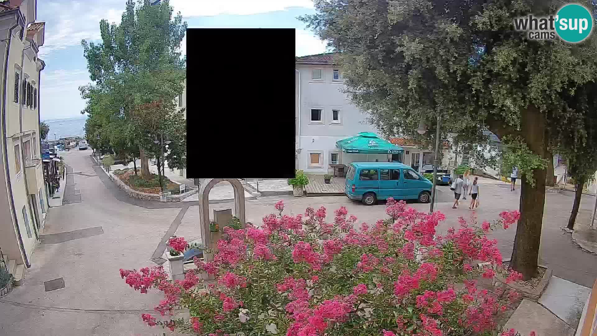 Webcam Centro Draga di Moschiena – Vista live sul centro
