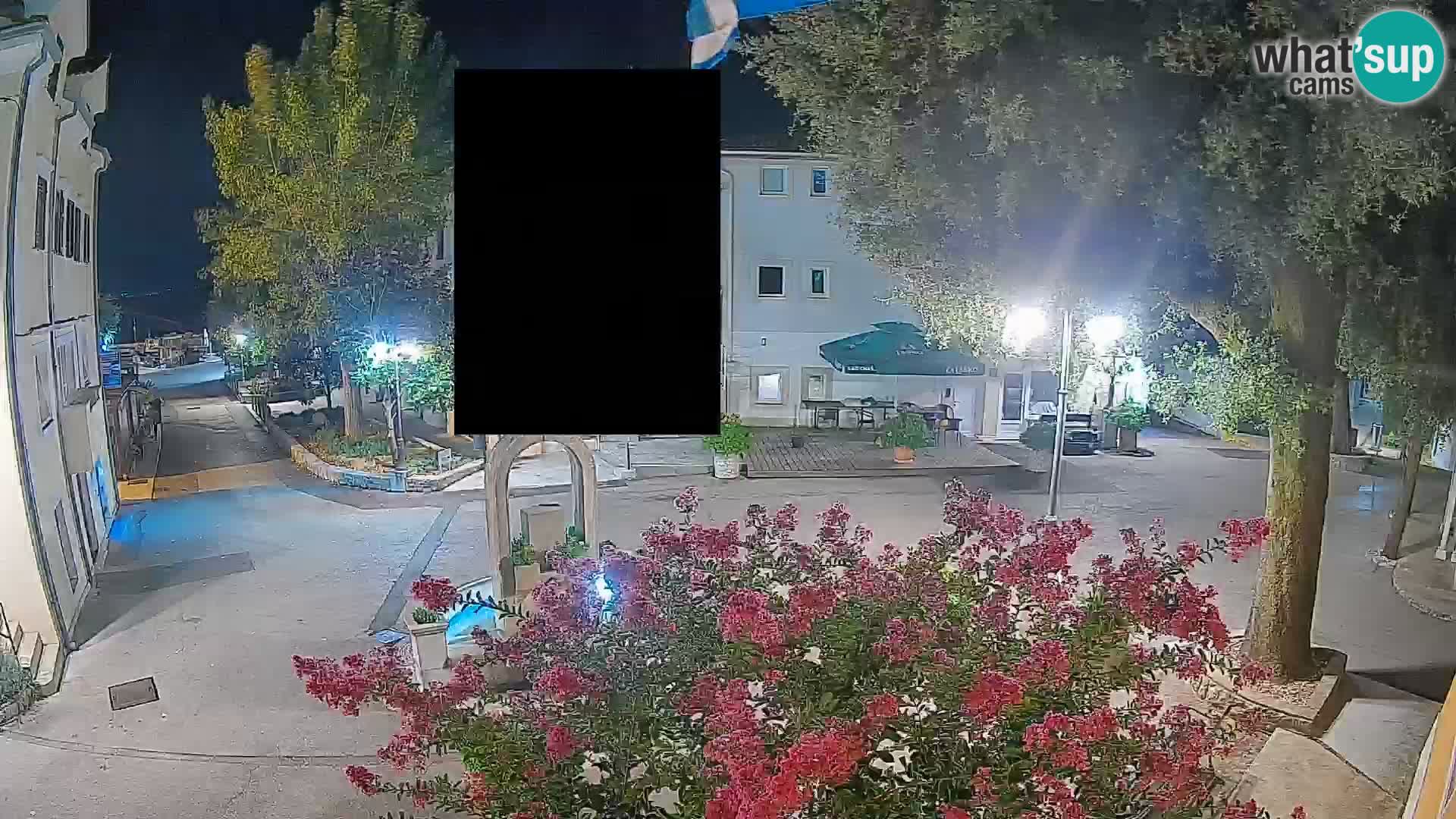 Webcam Centro Draga di Moschiena – Vista live sul centro