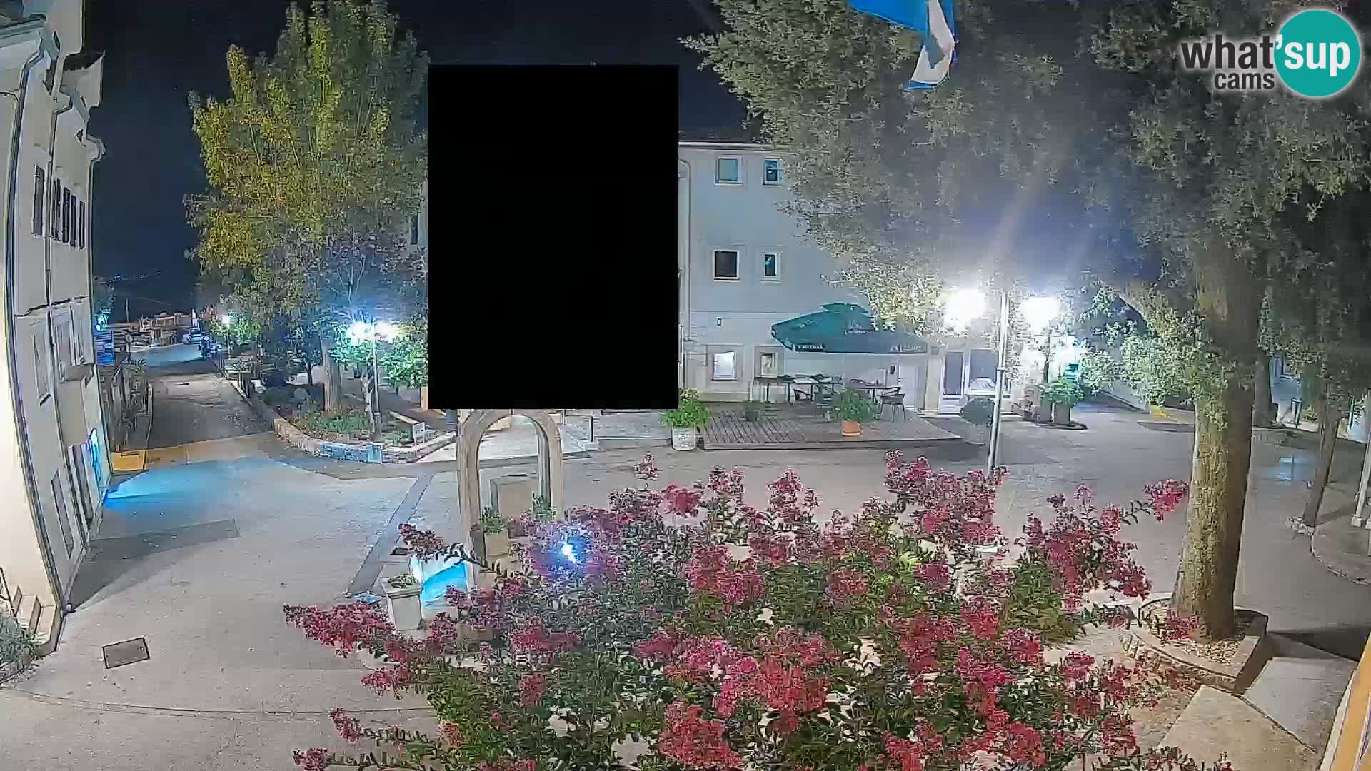 Webcam Centro Draga di Moschiena – Vista live sul centro