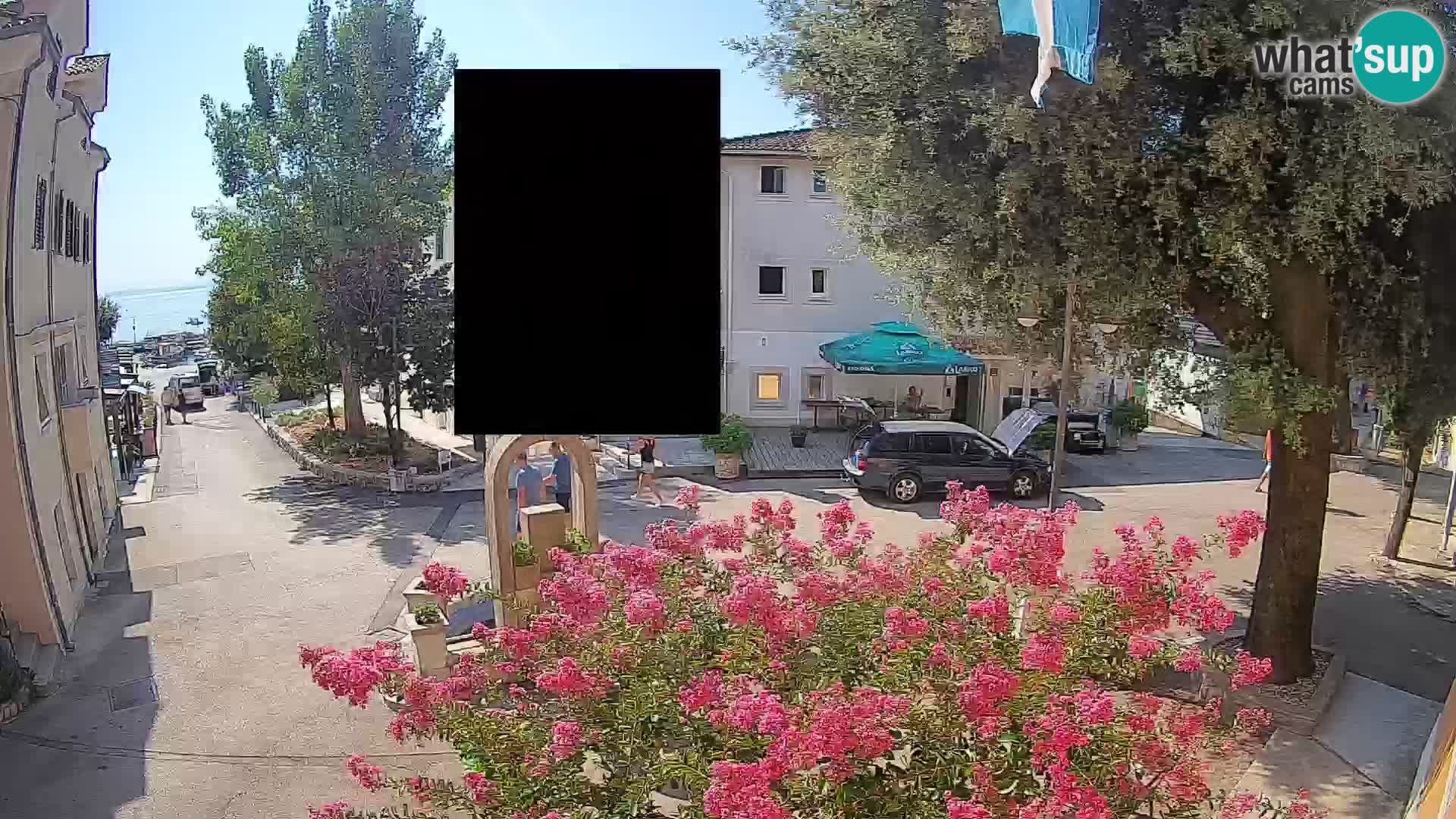 Webcam Centro Draga di Moschiena – Vista live sul centro