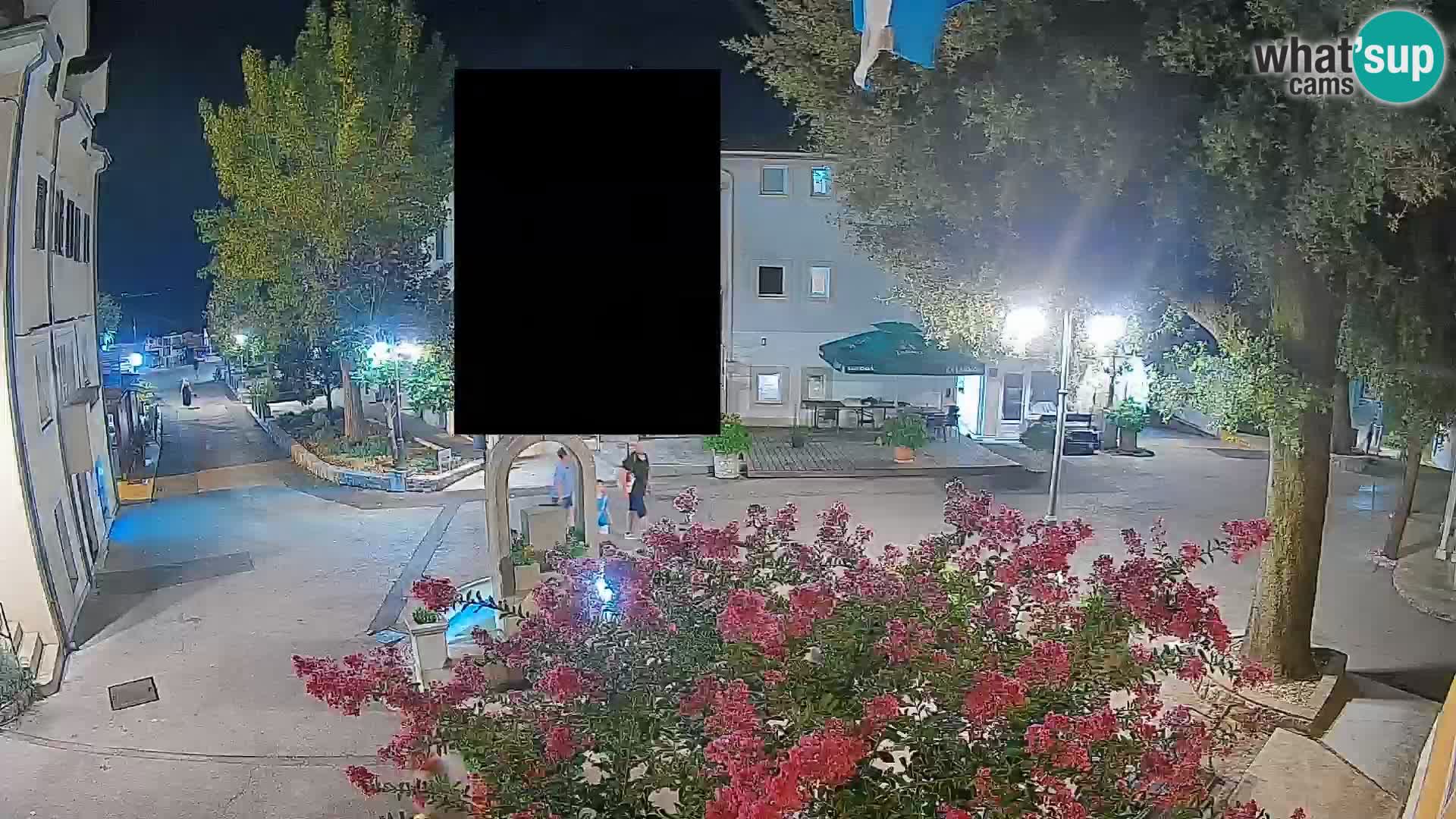 Webcam Centro Draga di Moschiena – Vista live sul centro