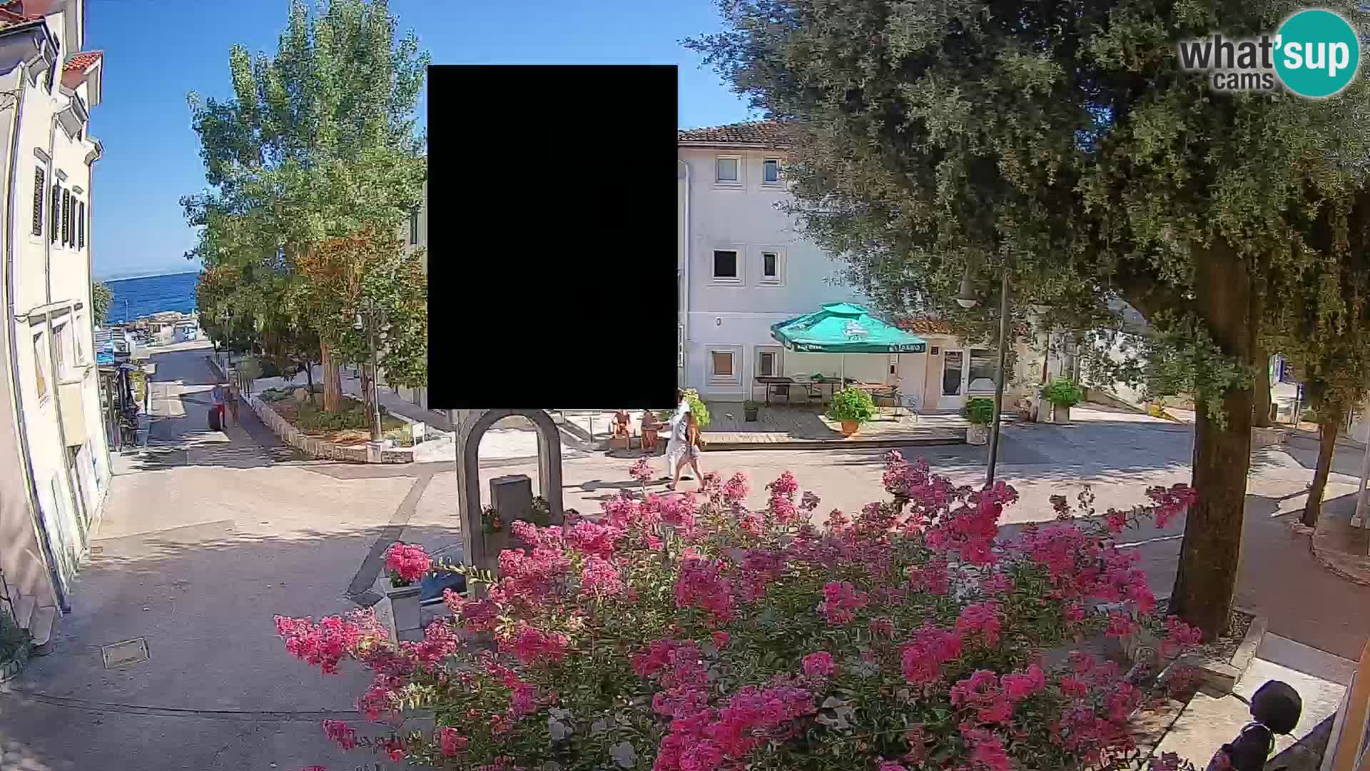 Web kamera centar Mošćeničke Drage – Pogled uživo