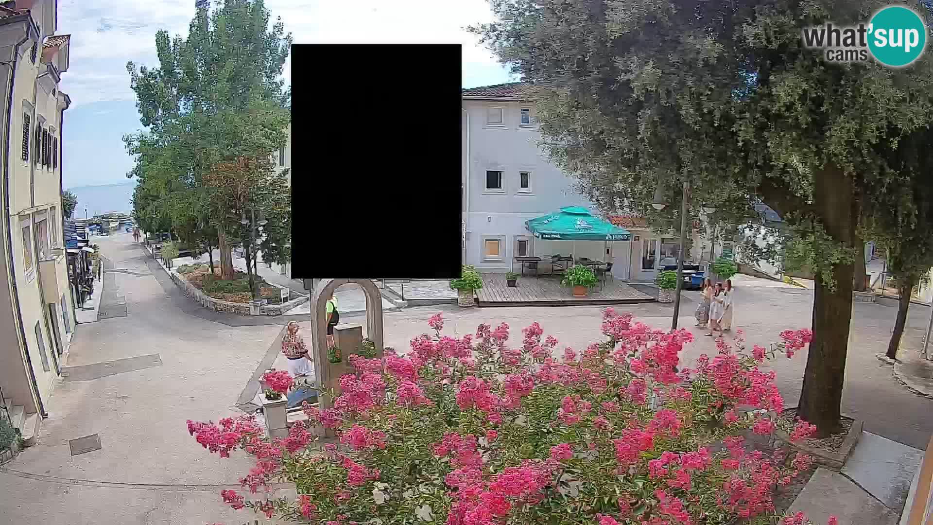 Webcam Centro Draga di Moschiena – Vista live sul centro