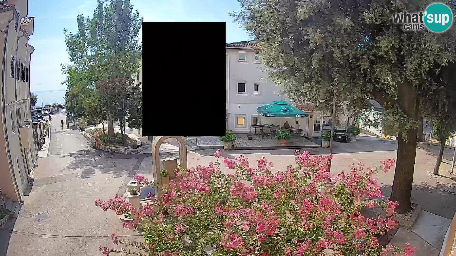 Webcam Centro Draga di Moschiena – Vista live sul centro