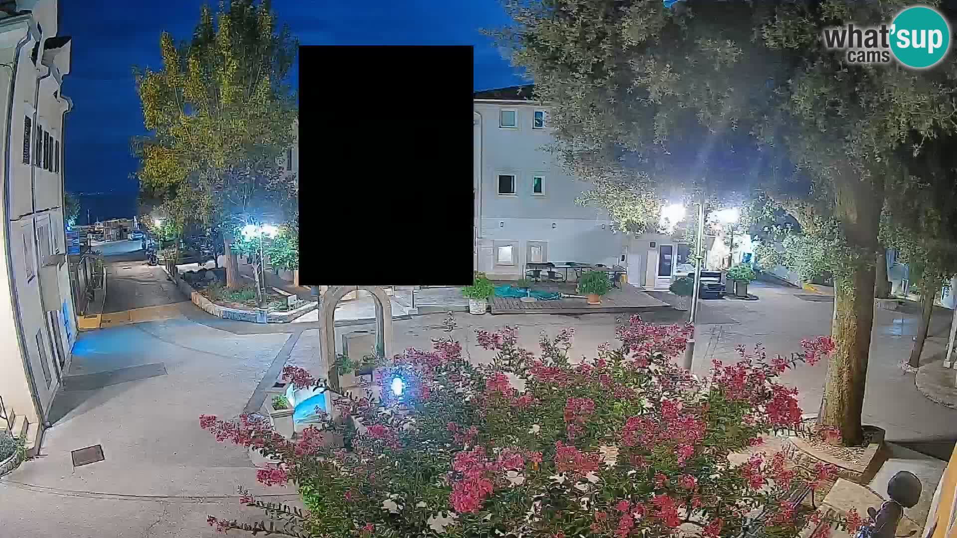 Webcam Centro Draga di Moschiena – Vista live sul centro