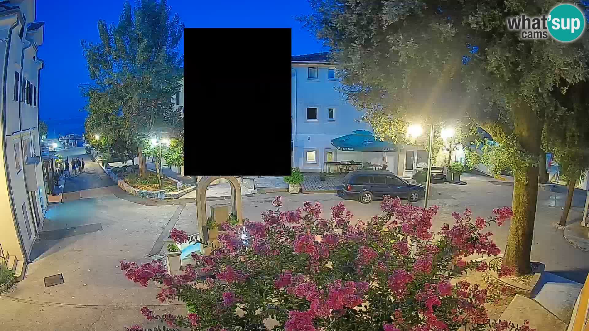 Webcam Centro Draga di Moschiena – Vista live sul centro