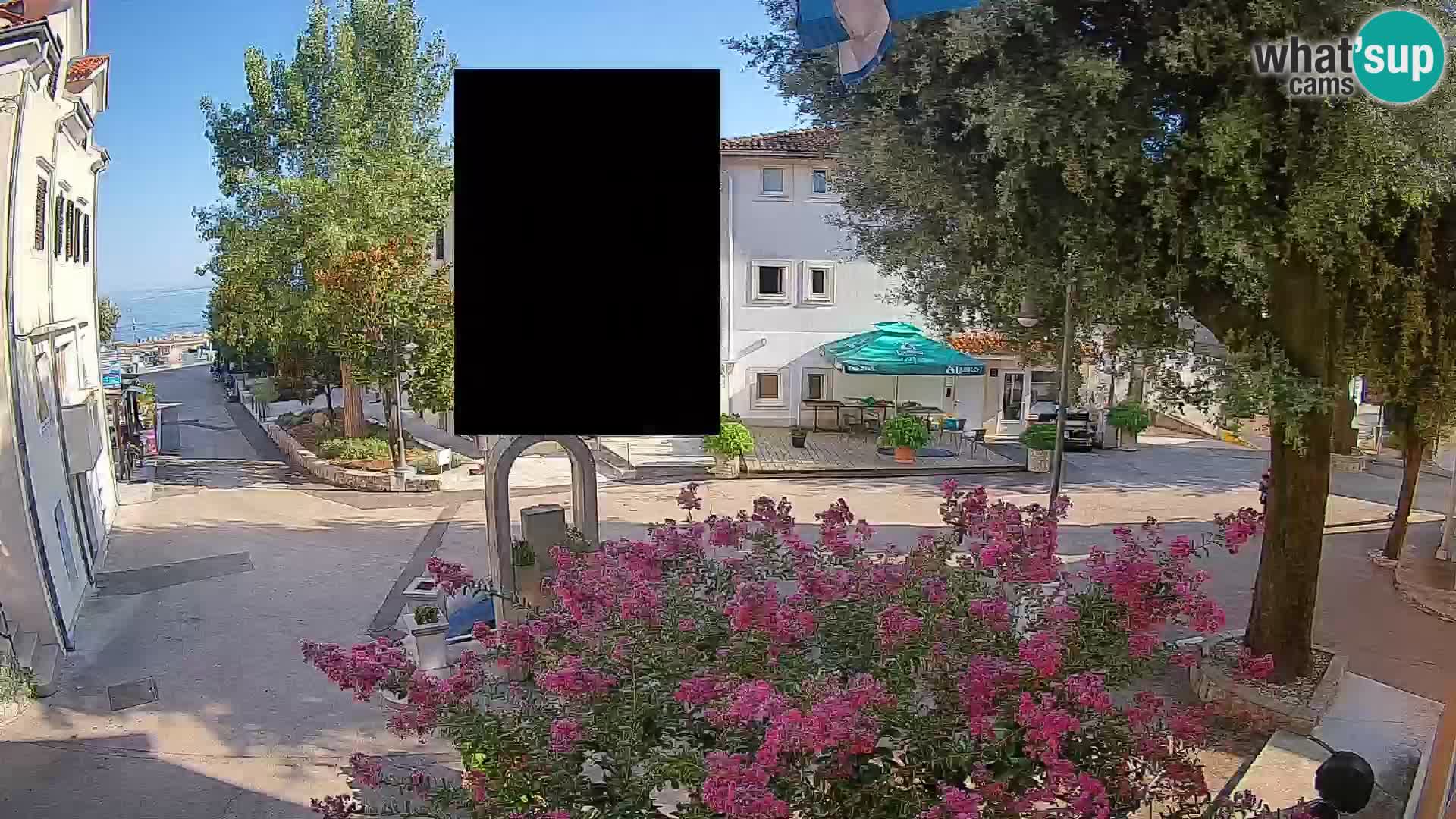 Webcam Centro Draga di Moschiena – Vista live sul centro