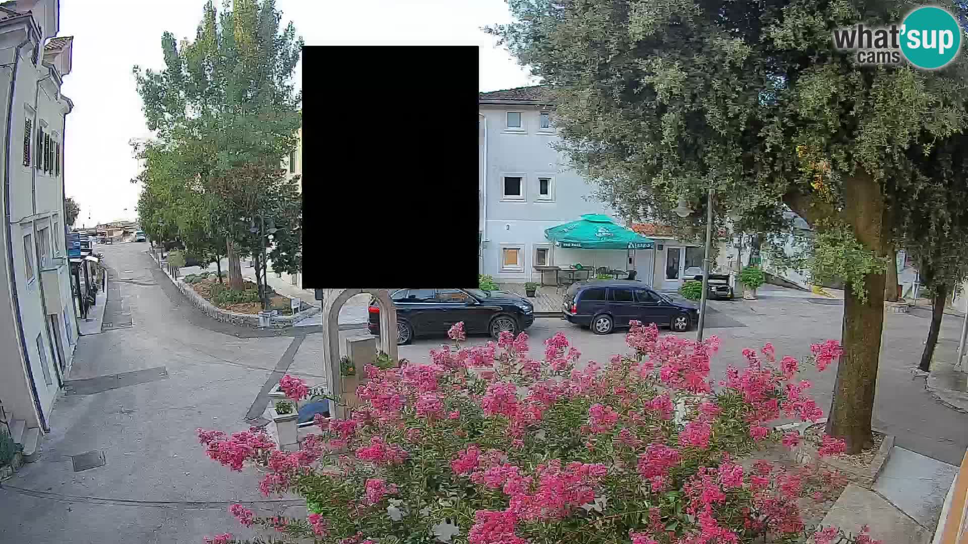 Webcam Centro Draga di Moschiena – Vista live sul centro
