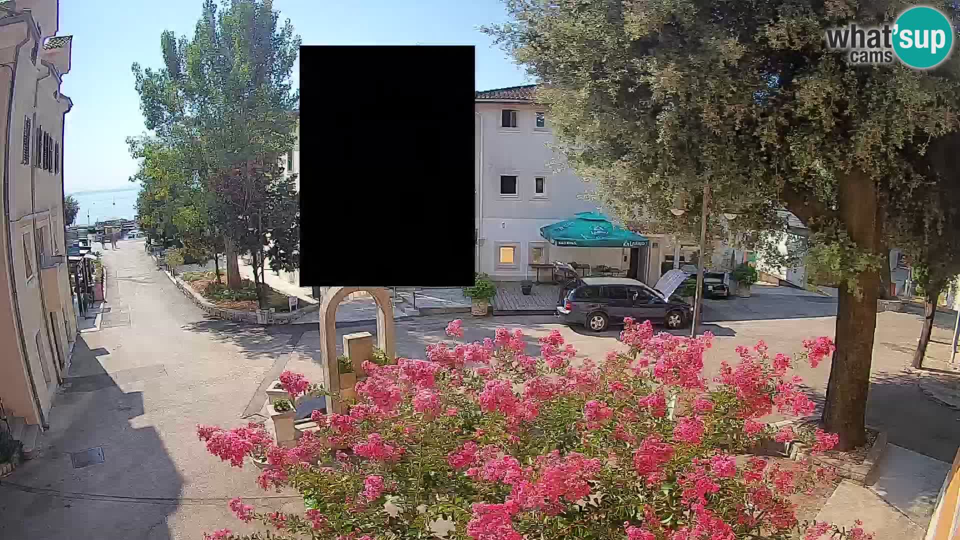 Webcam Centro Draga di Moschiena – Vista live sul centro