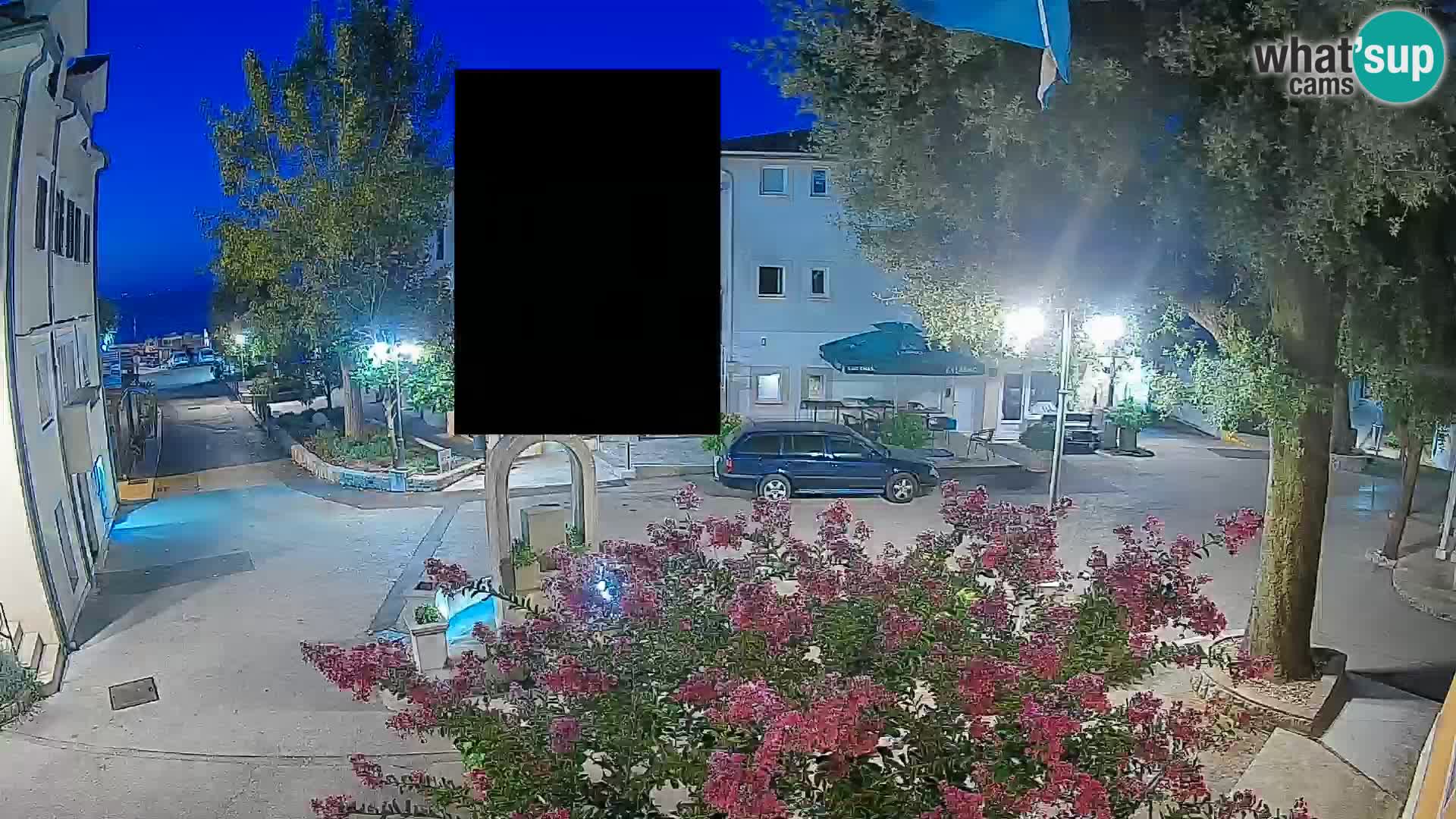Webcam Centro Draga di Moschiena – Vista live sul centro