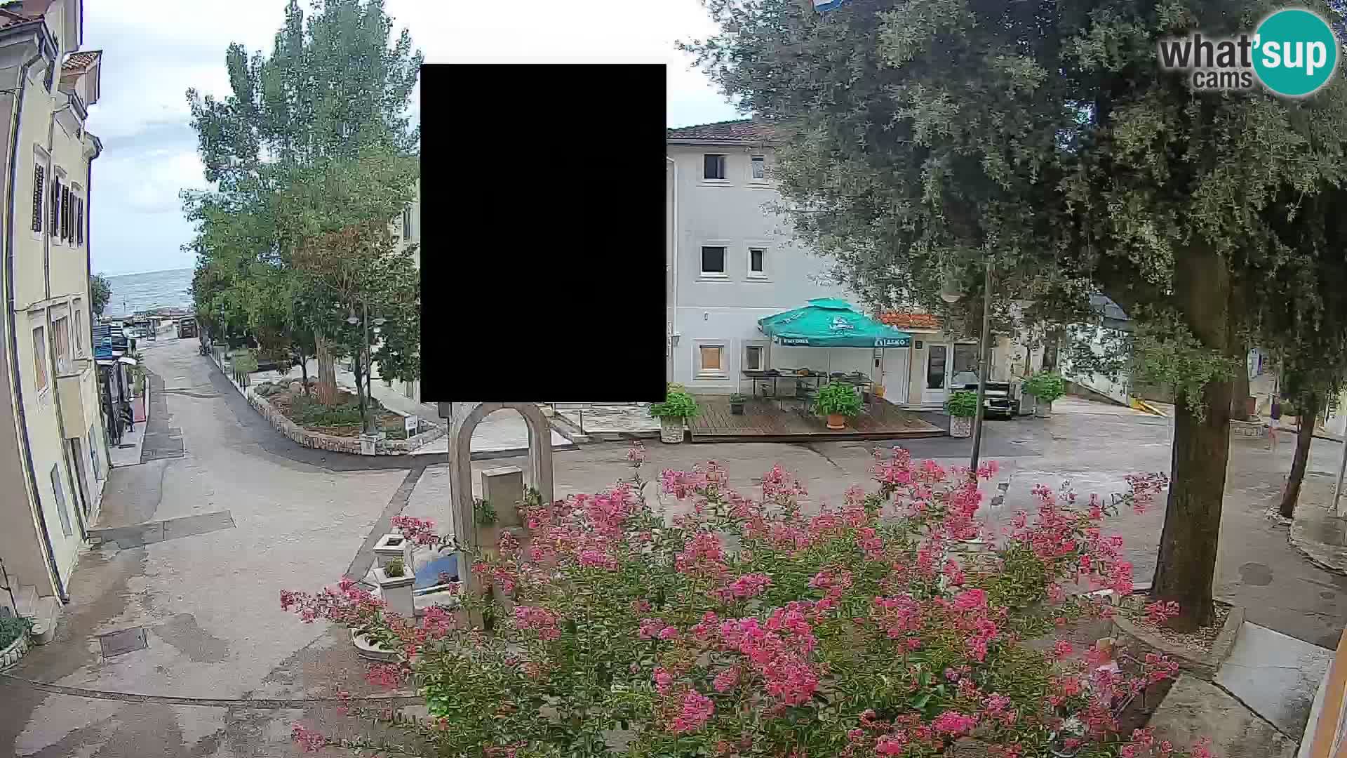 Webcam Centro Draga di Moschiena – Vista live sul centro