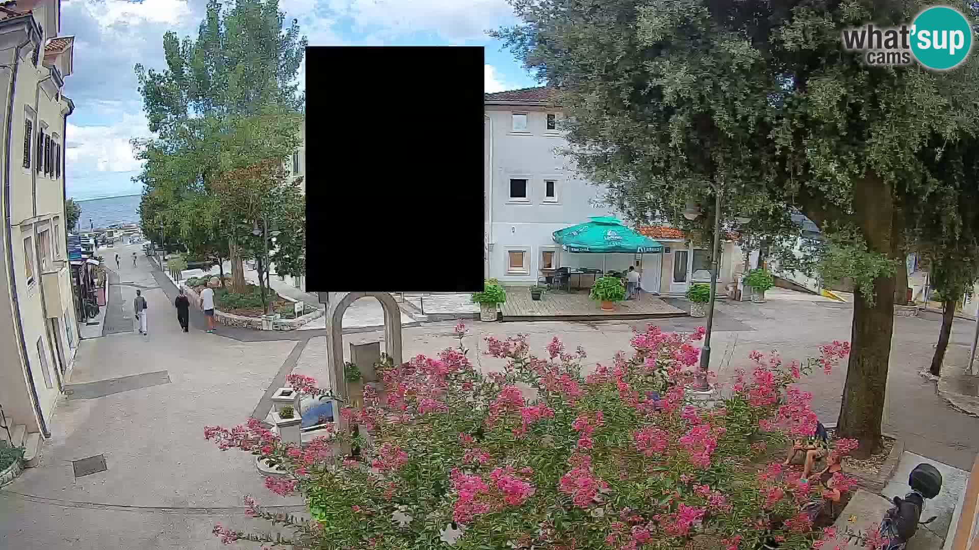 Webcam Centro Draga di Moschiena – Vista live sul centro
