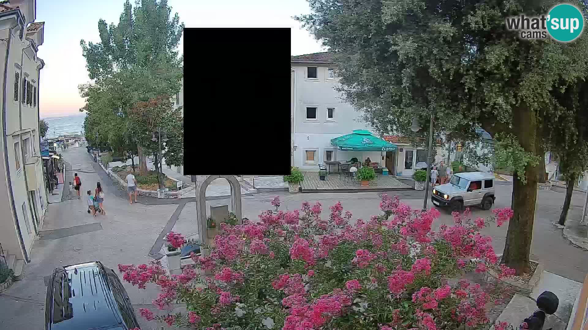 Webcam Centro Draga di Moschiena – Vista live sul centro