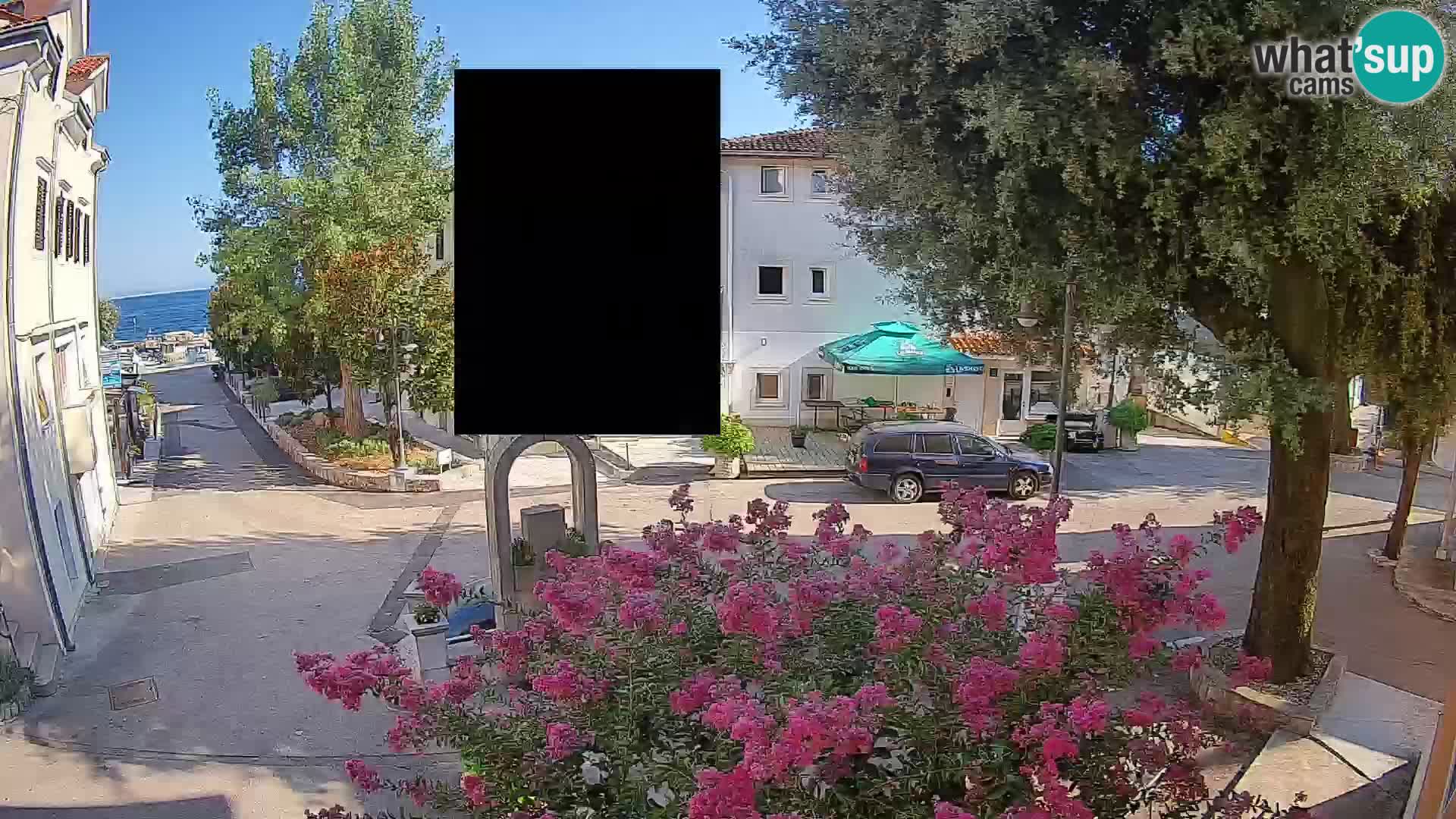 Webcam Centro Draga di Moschiena – Vista live sul centro
