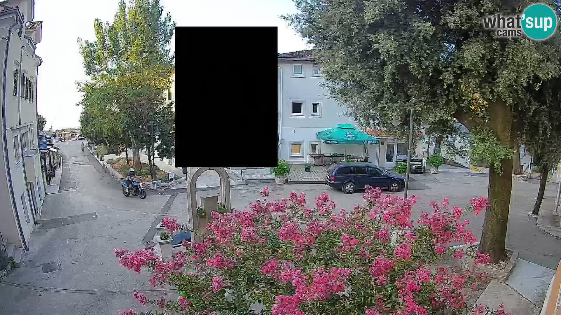 Webcam Centro Draga di Moschiena – Vista live sul centro