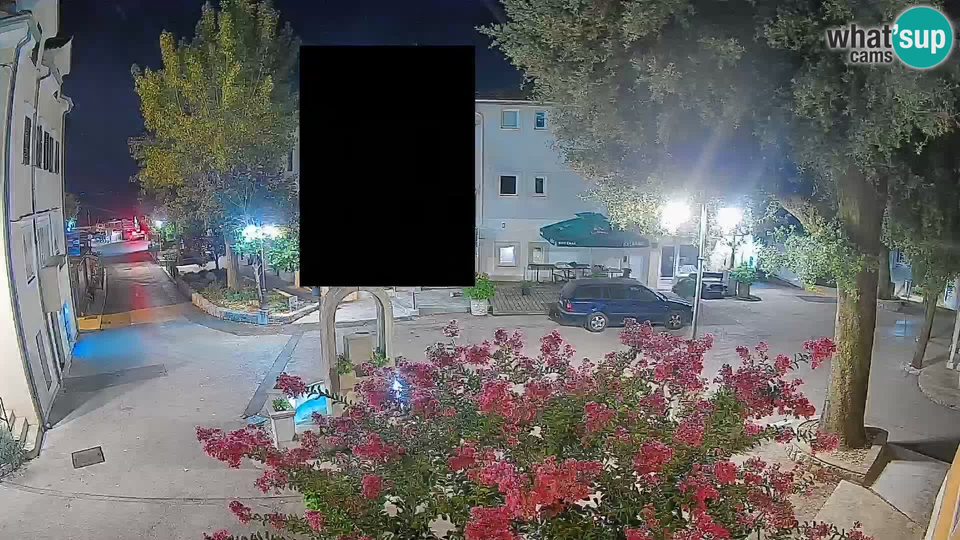 Webcam Centro Draga di Moschiena – Vista live sul centro