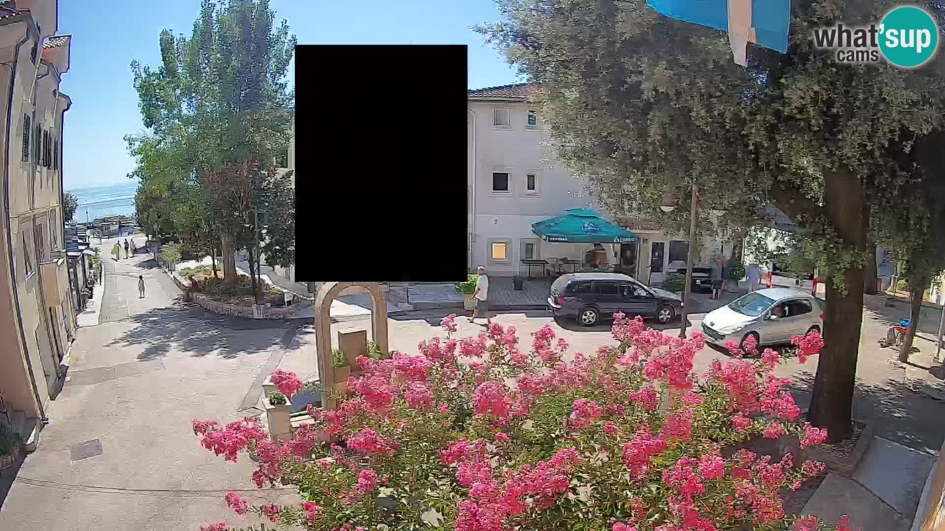 Webcam Centro Draga di Moschiena – Vista live sul centro