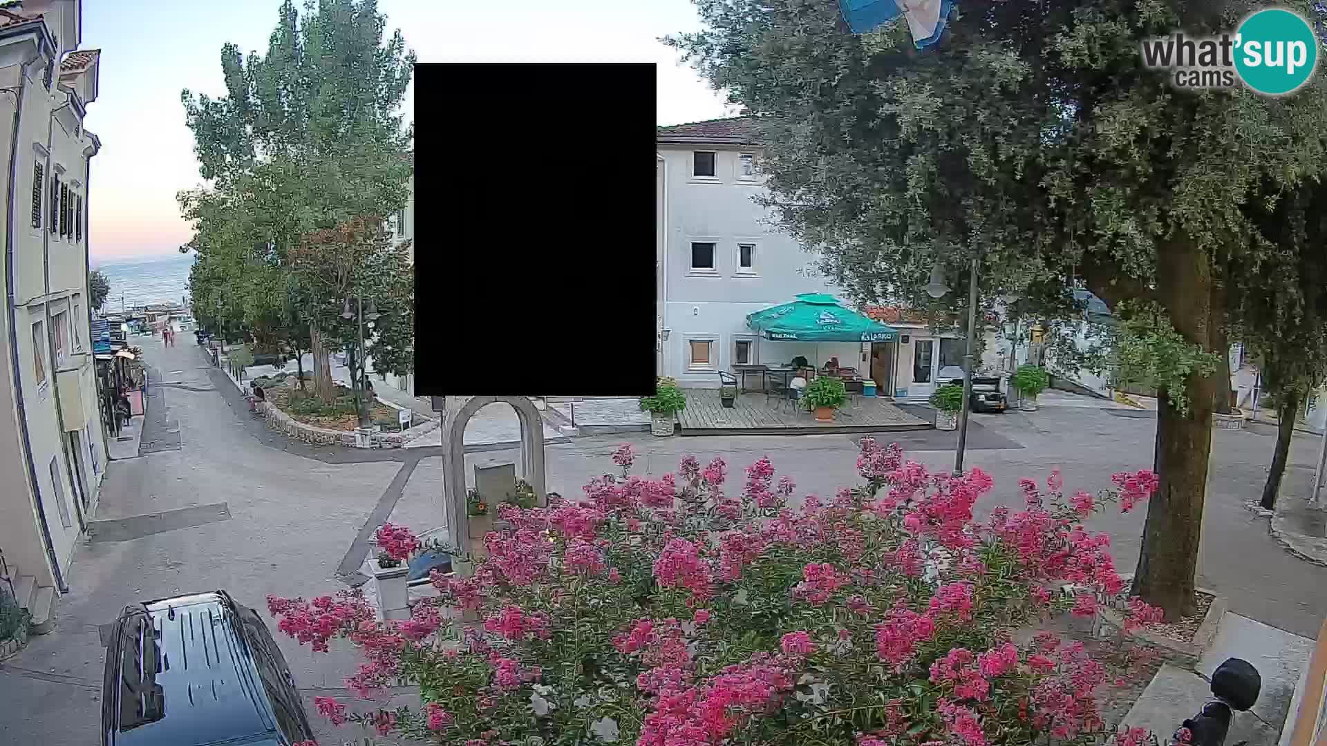 Webcam Centro Draga di Moschiena – Vista live sul centro