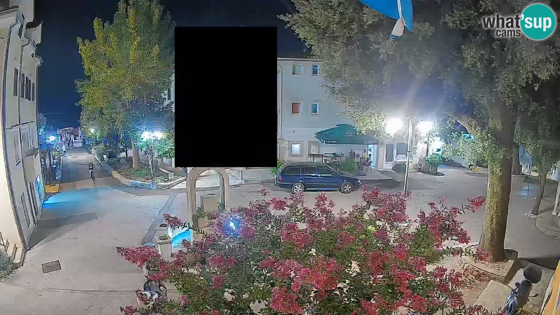 Webcam Centro Draga di Moschiena – Vista live sul centro