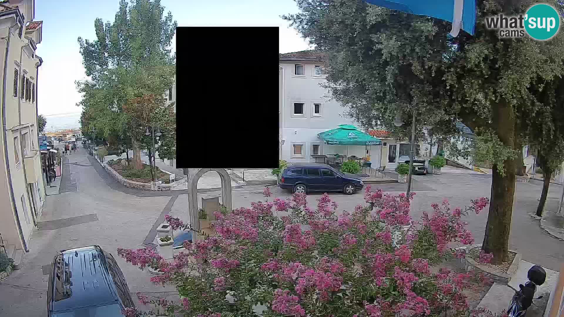 Webcam Centro Draga di Moschiena – Vista live sul centro