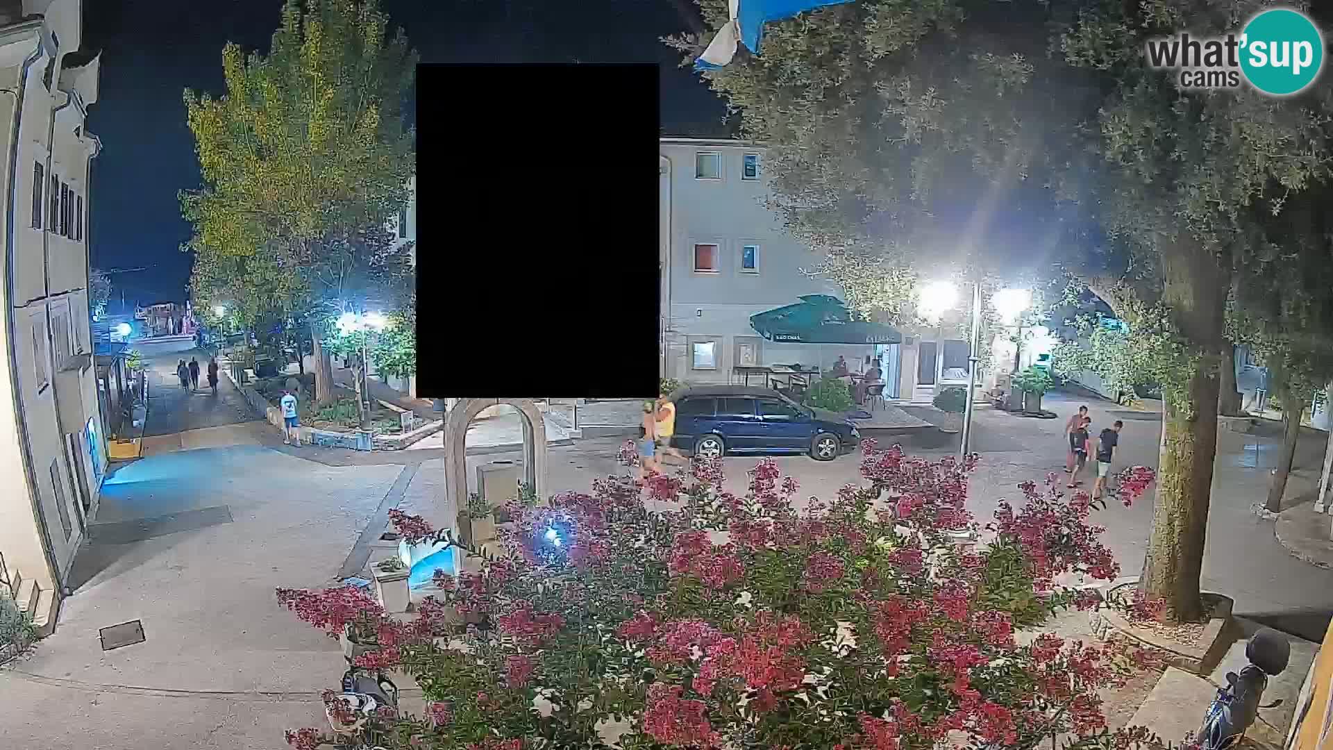Webcam Centro Draga di Moschiena – Vista live sul centro