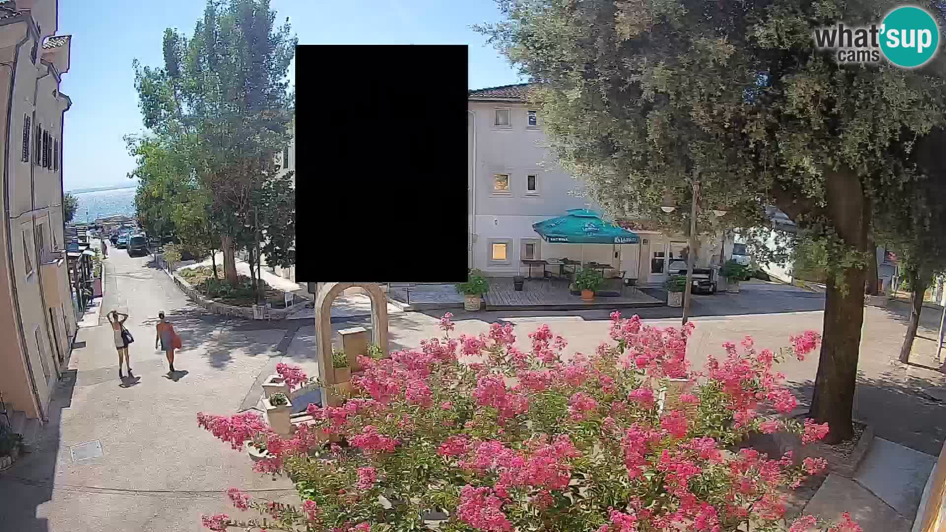 Web kamera centar Mošćeničke Drage – Pogled uživo