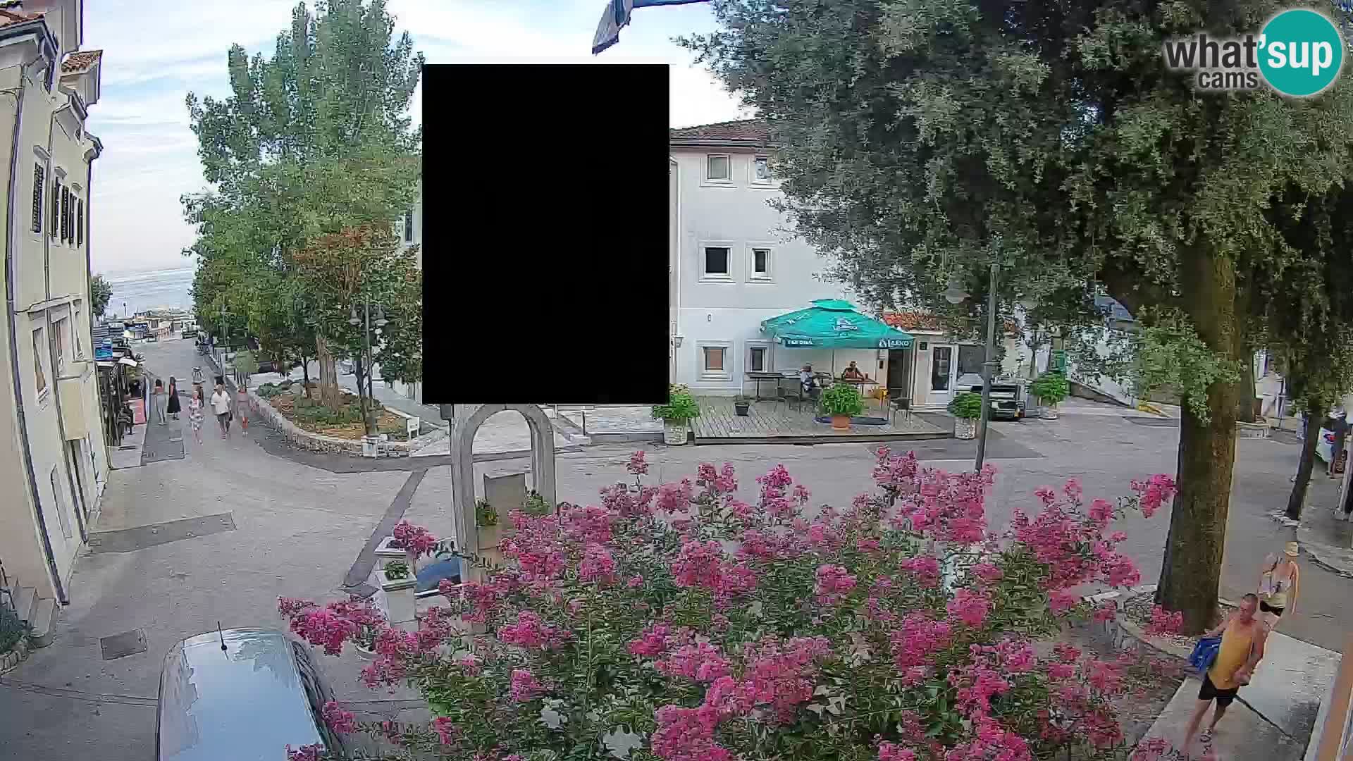Webcam Centro Draga di Moschiena – Vista live sul centro