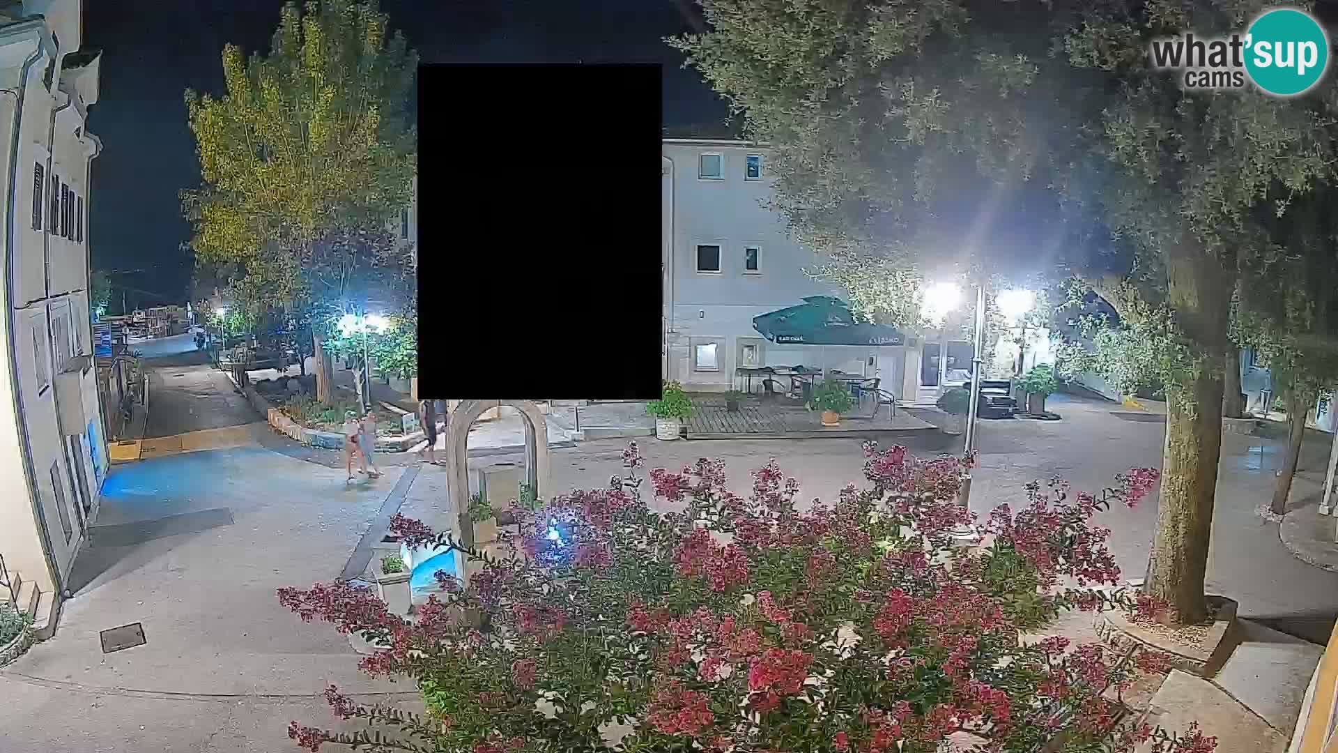Webcam Centro Draga di Moschiena – Vista live sul centro
