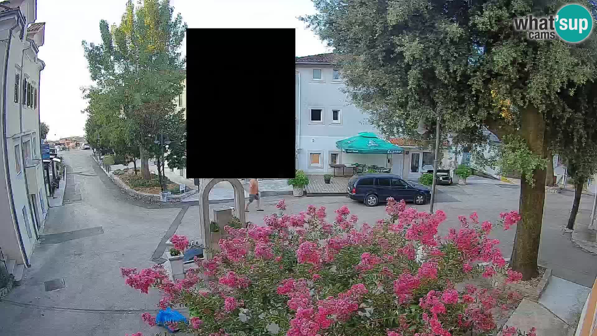 Webcam Centro Draga di Moschiena – Vista live sul centro