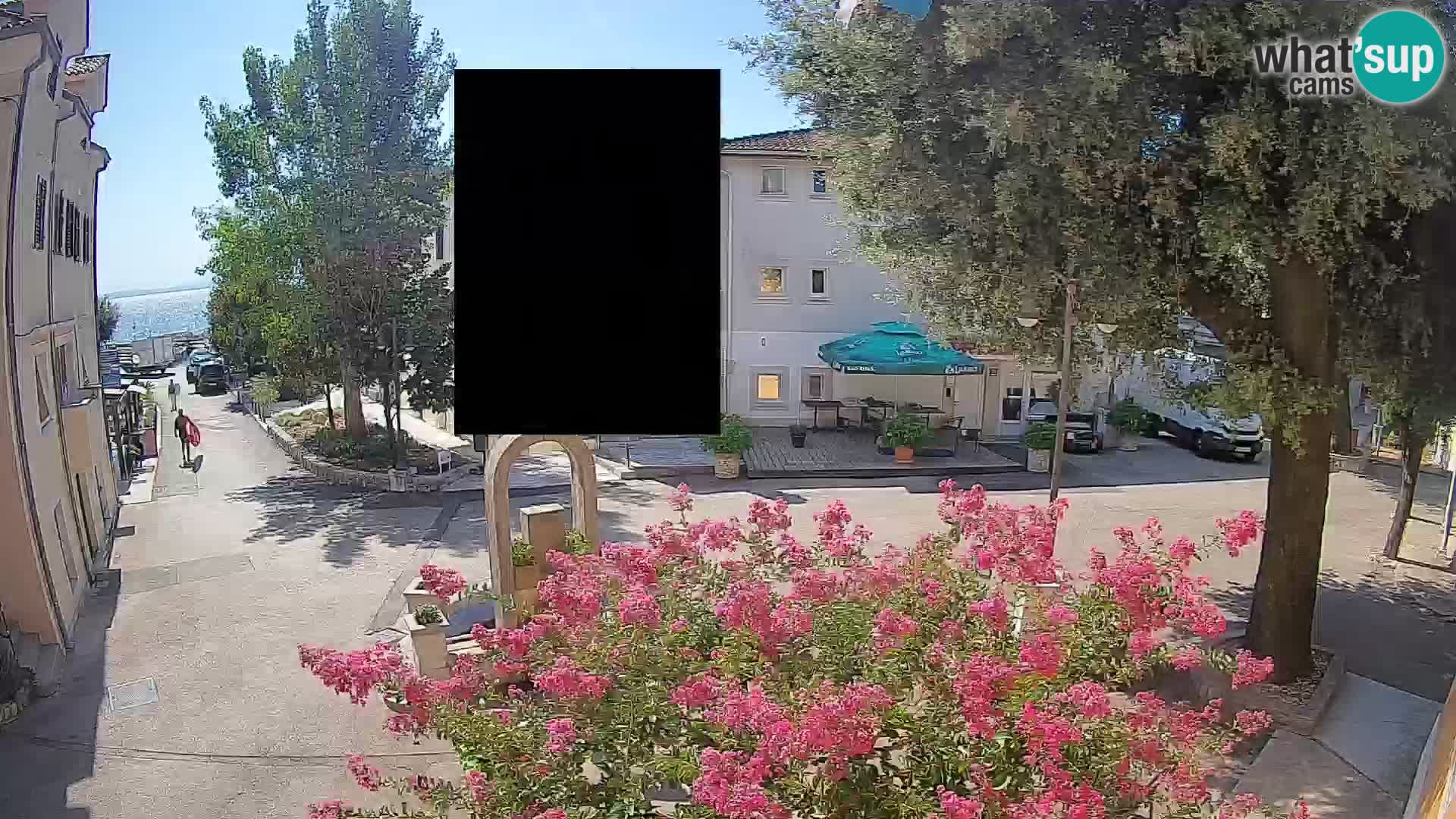 Webcam Centro Draga di Moschiena – Vista live sul centro