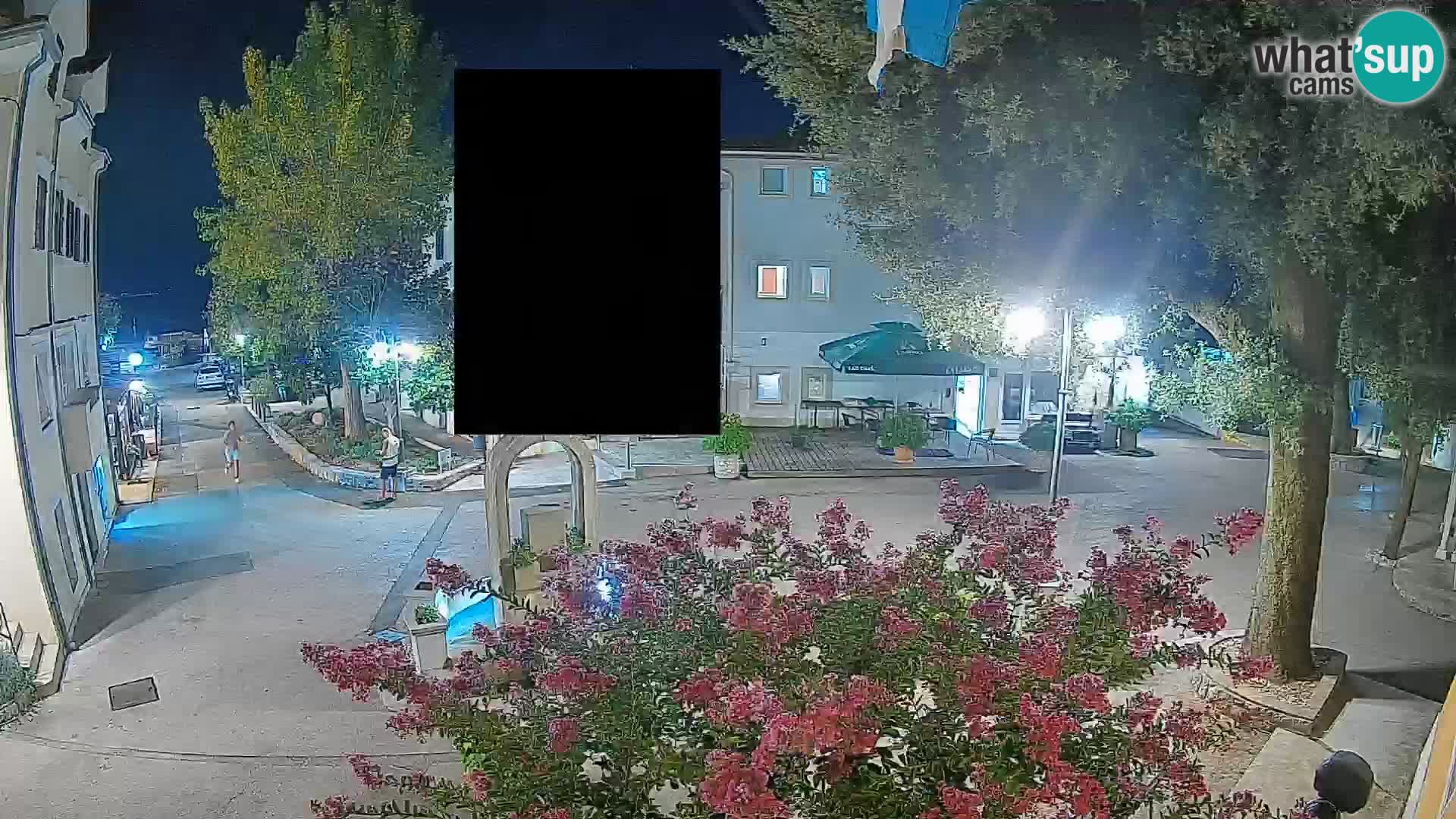 Webcam Centro Draga di Moschiena – Vista live sul centro