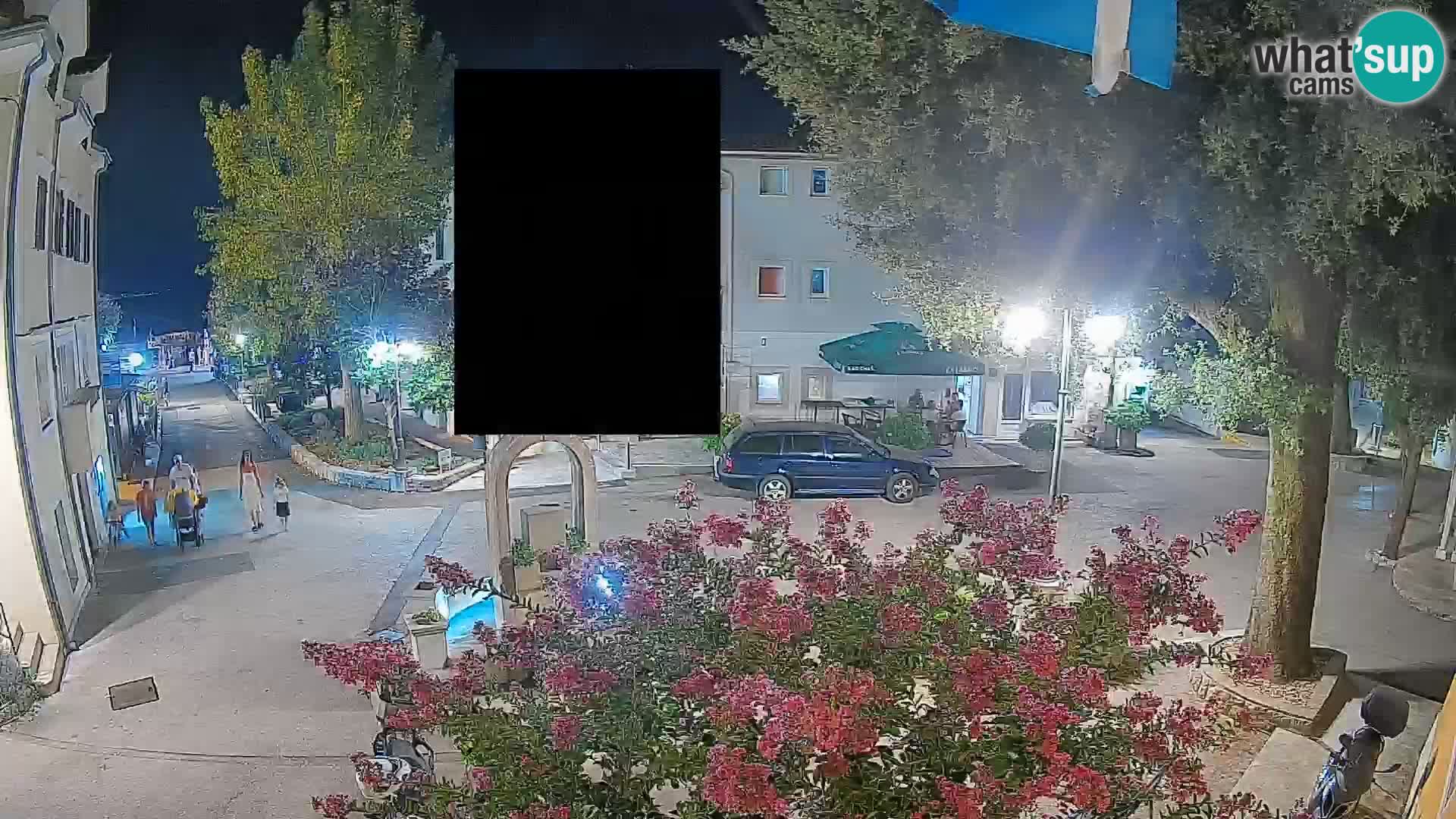 Webcam Centro Draga di Moschiena – Vista live sul centro