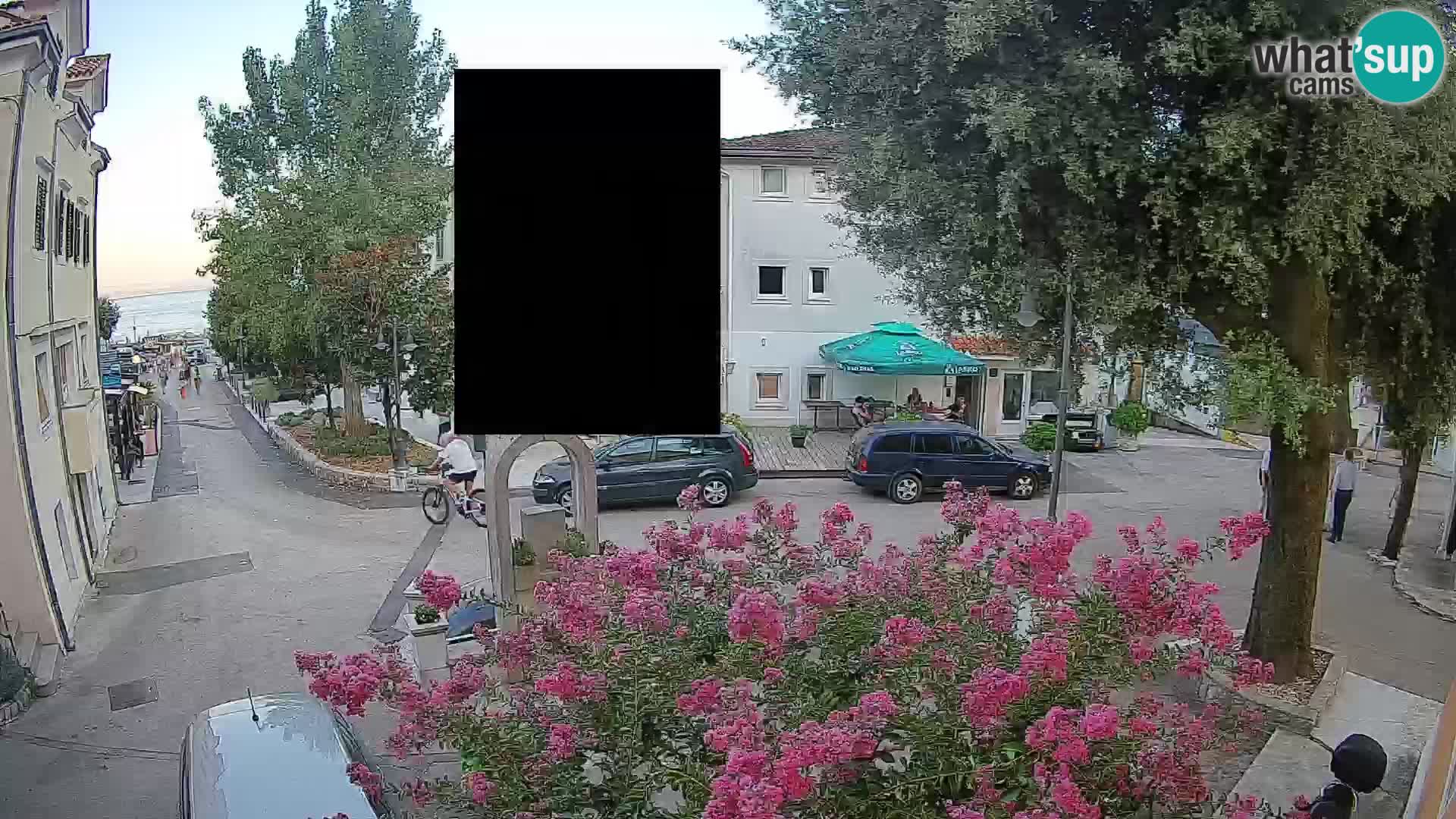 Webcam Centro Draga di Moschiena – Vista live sul centro