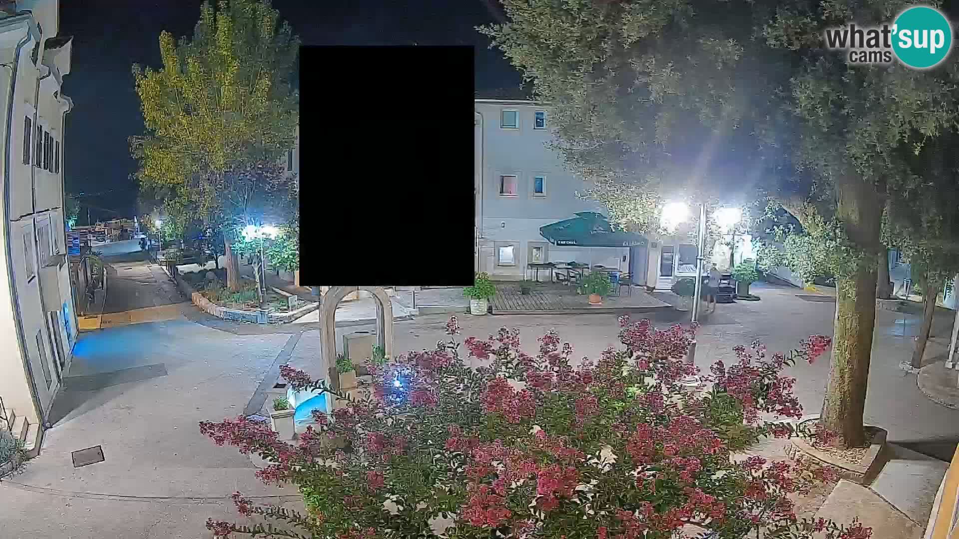 Webcam Centro Draga di Moschiena – Vista live sul centro
