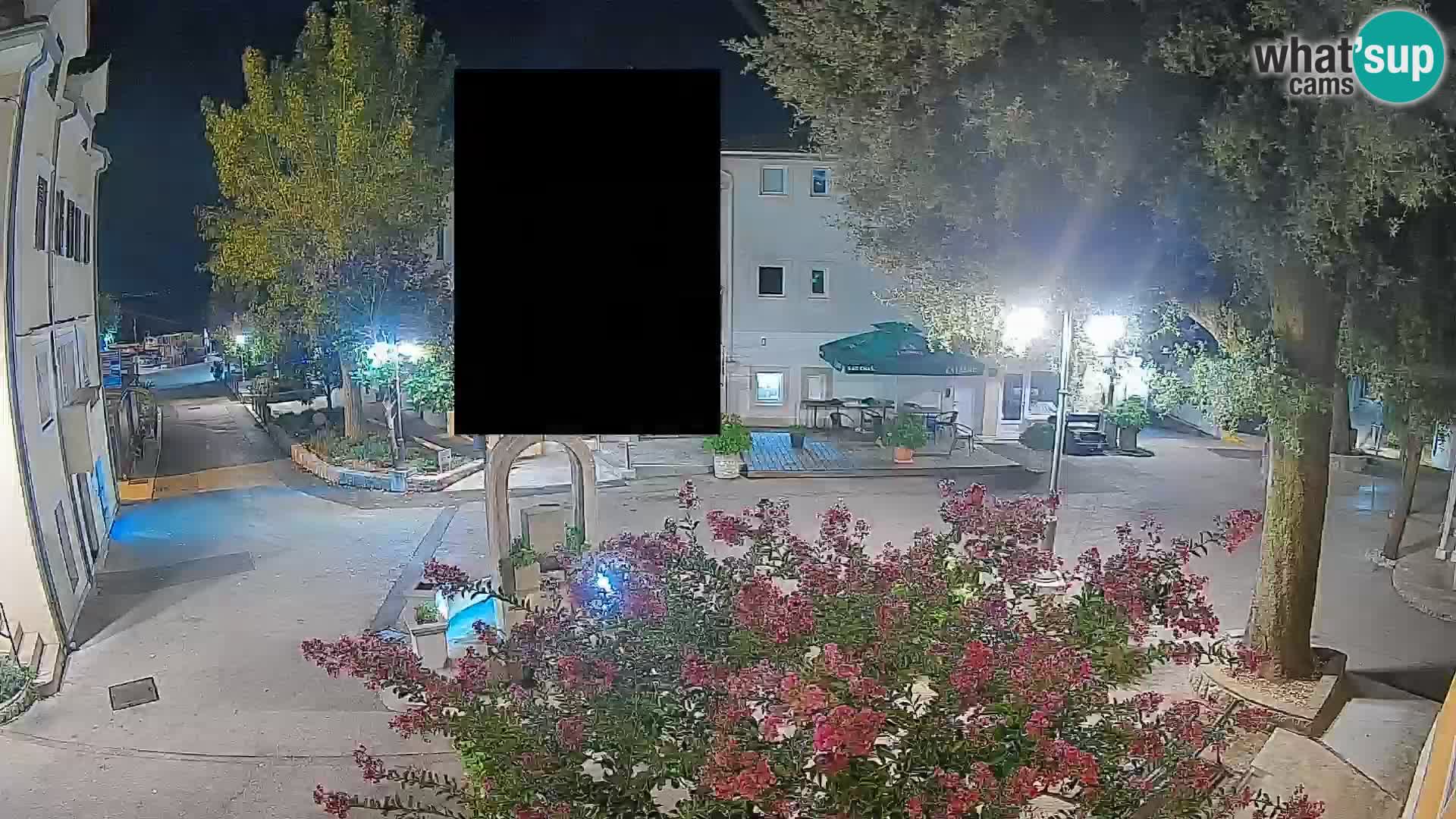 Webcam Centro Draga di Moschiena – Vista live sul centro