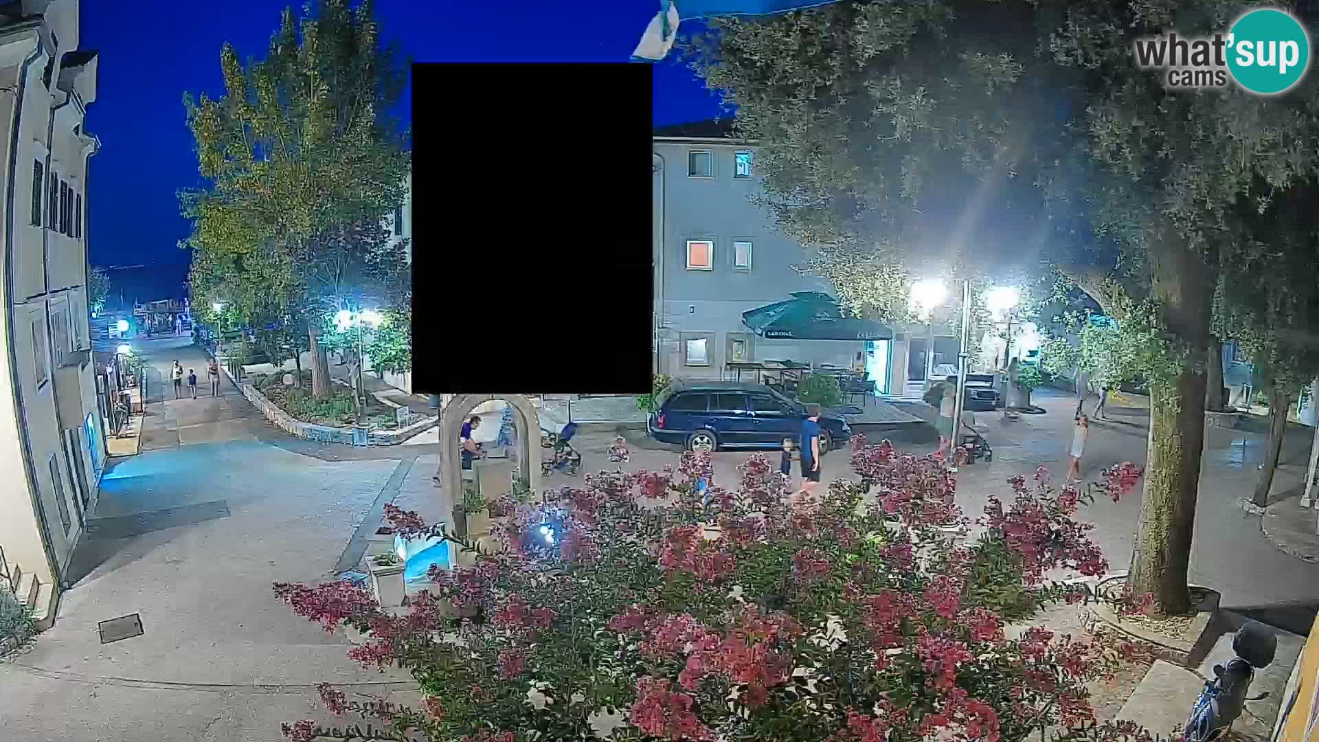 Webcam Centro Draga di Moschiena – Vista live sul centro