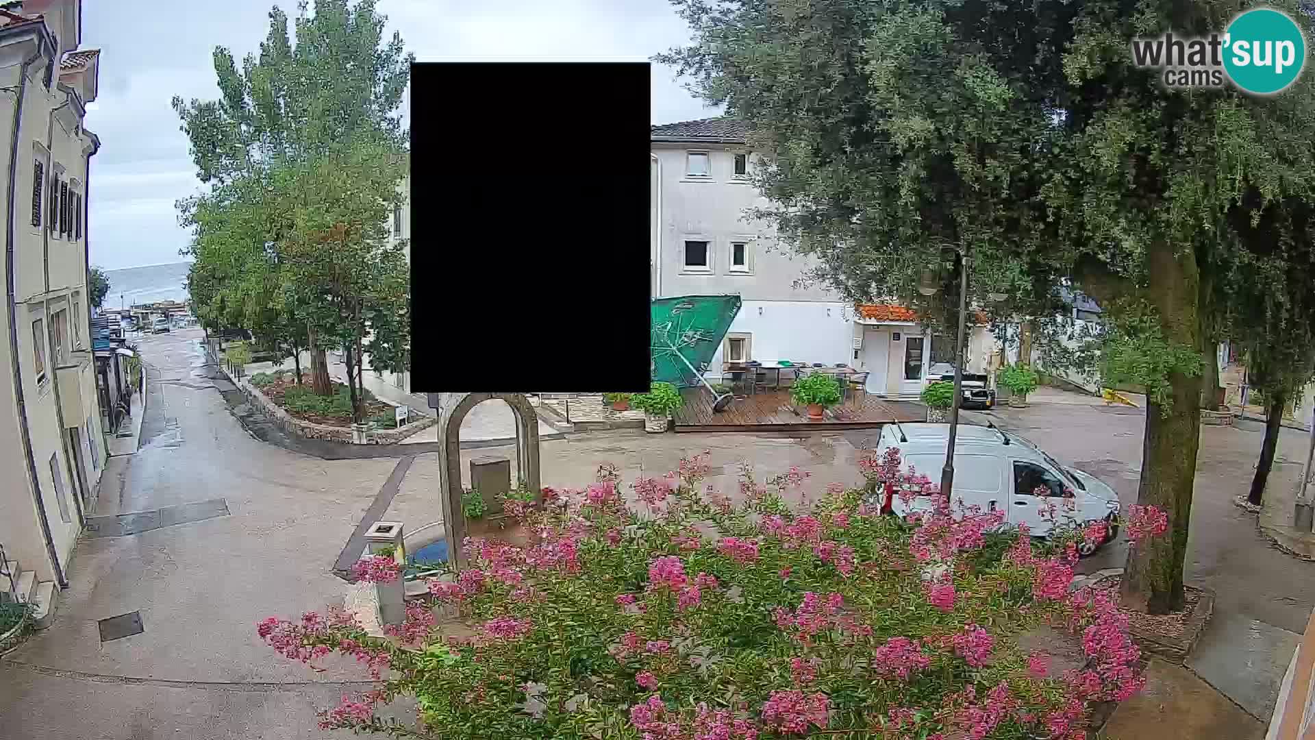 Webcam Centro Draga di Moschiena – Vista live sul centro