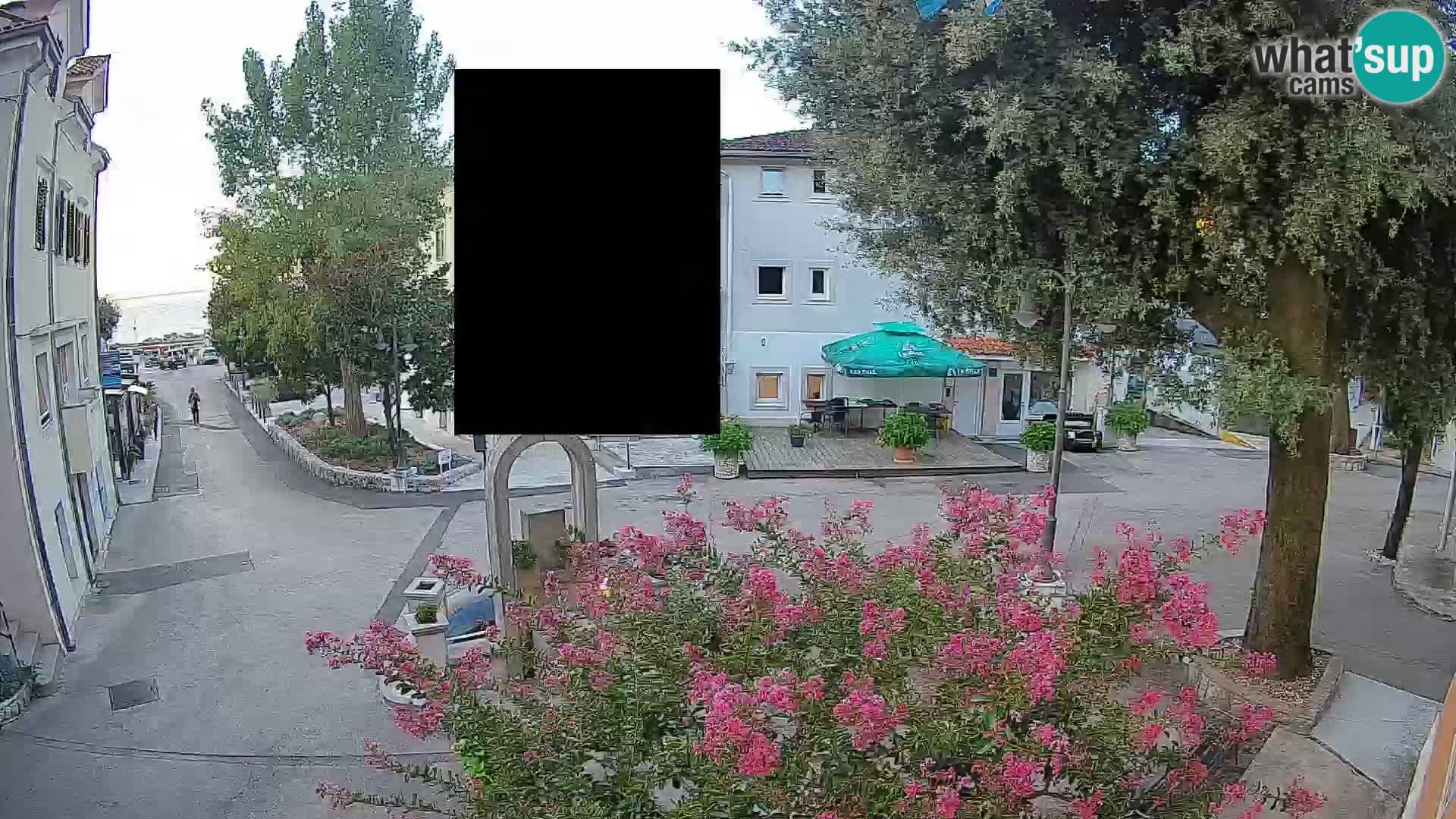 Webcam Centro Draga di Moschiena – Vista live sul centro