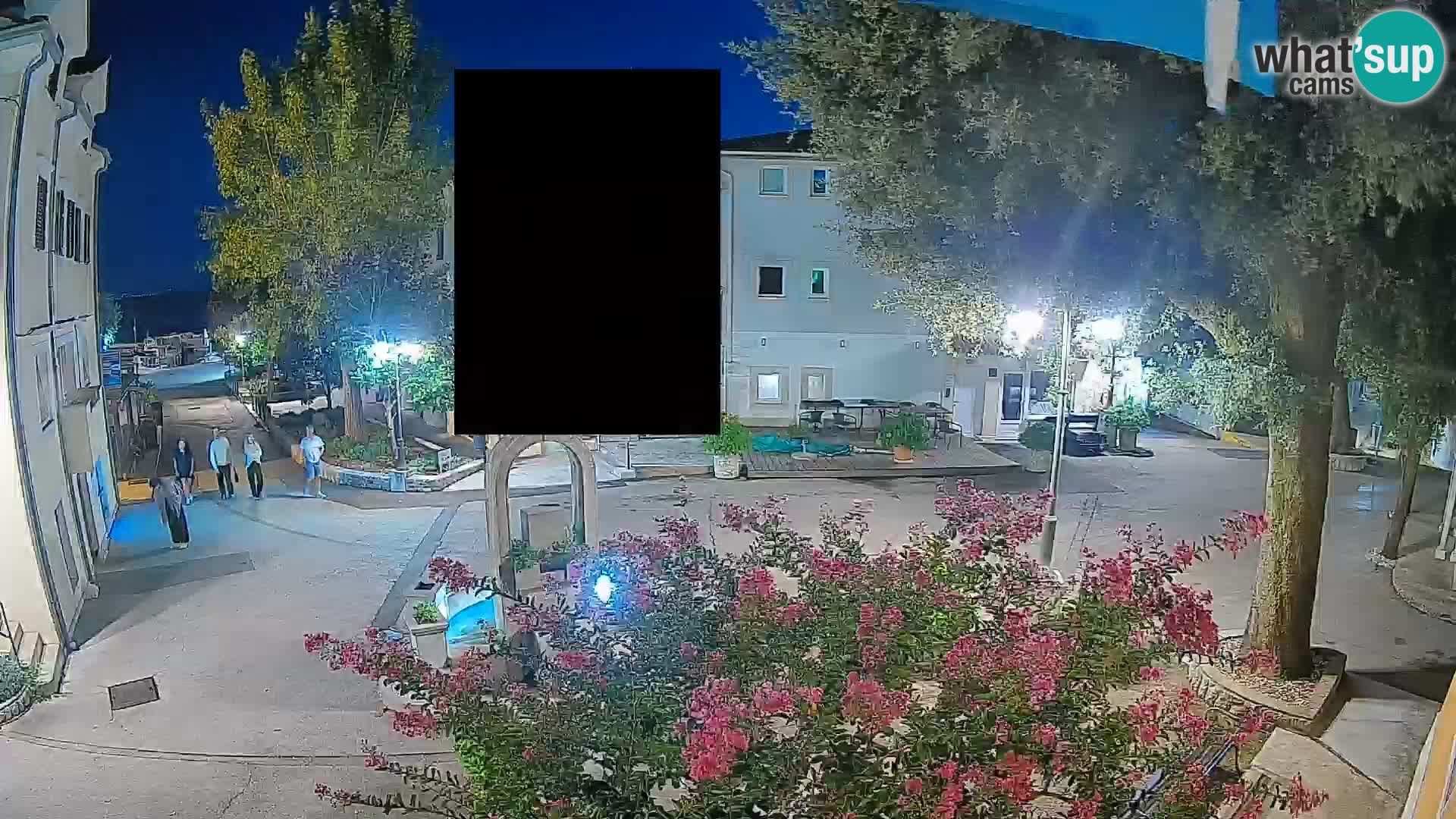Webcam Centro Draga di Moschiena – Vista live sul centro