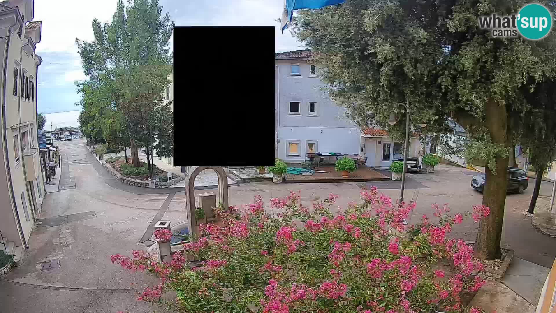 Webcam Centro Draga di Moschiena – Vista live sul centro