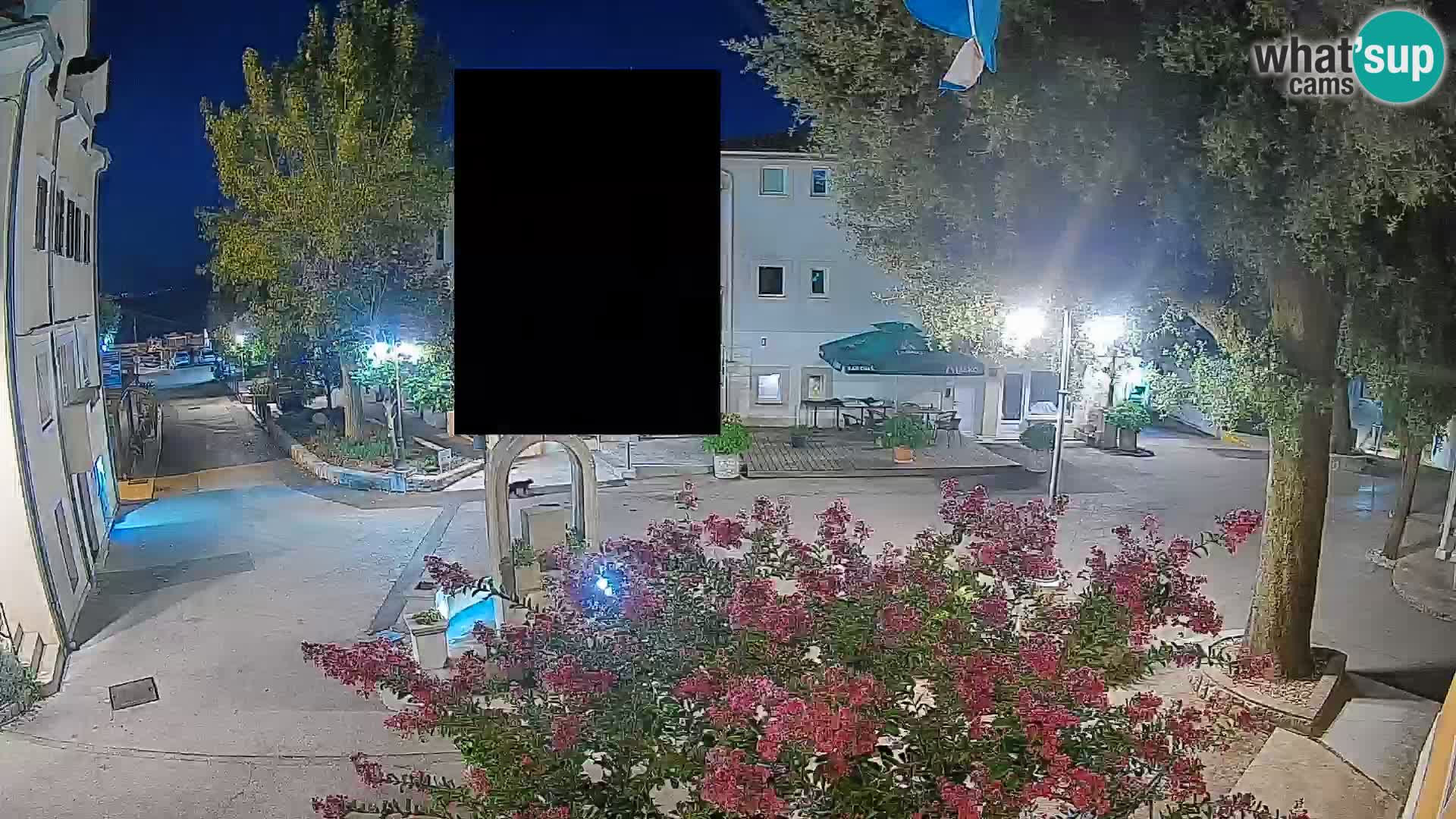 Webcam Mošćenička Draga Center – Live View of the Town Center