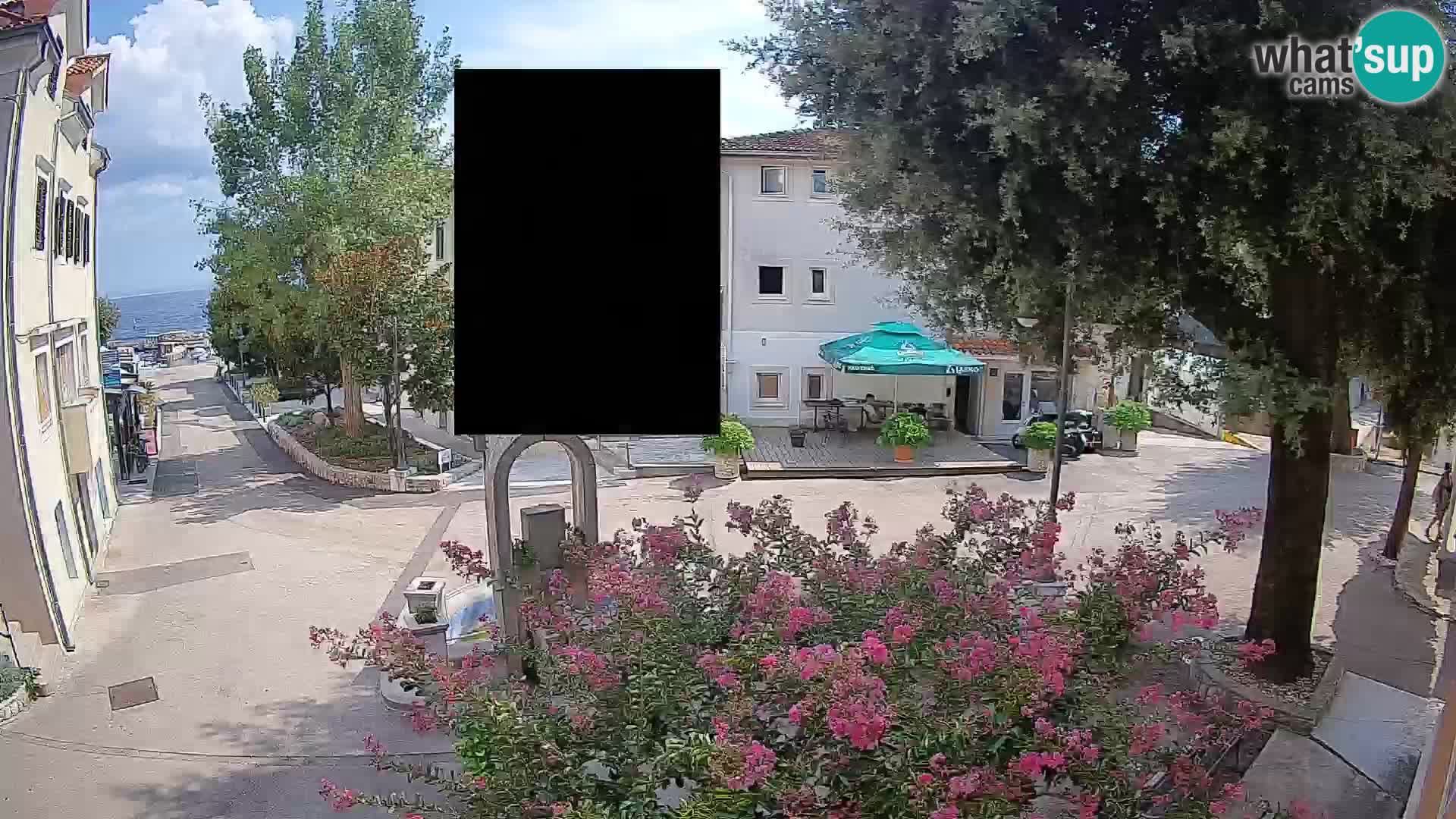 Webcam Centro Draga di Moschiena – Vista live sul centro